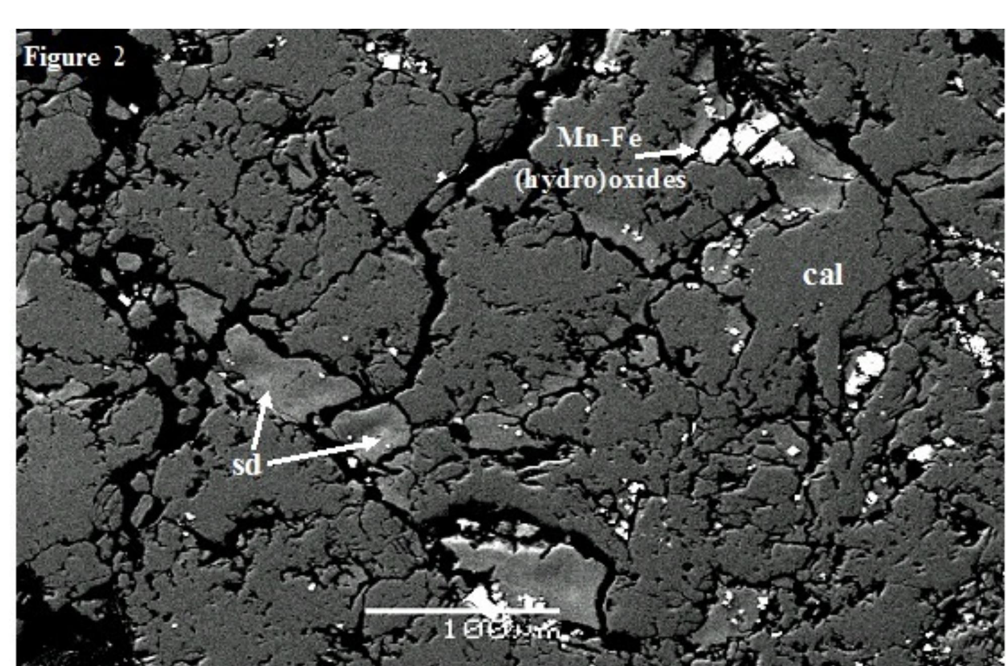 Figure 2: Representative backscattered SEM image of the tufa at the Kalamos area (Kalamos-Varnavas basin) showing dark grey calcite, light grey siderite and Mn-Fe (hydro)oxides. Abbreviations: Cal=calcite; sd=siderite. 
