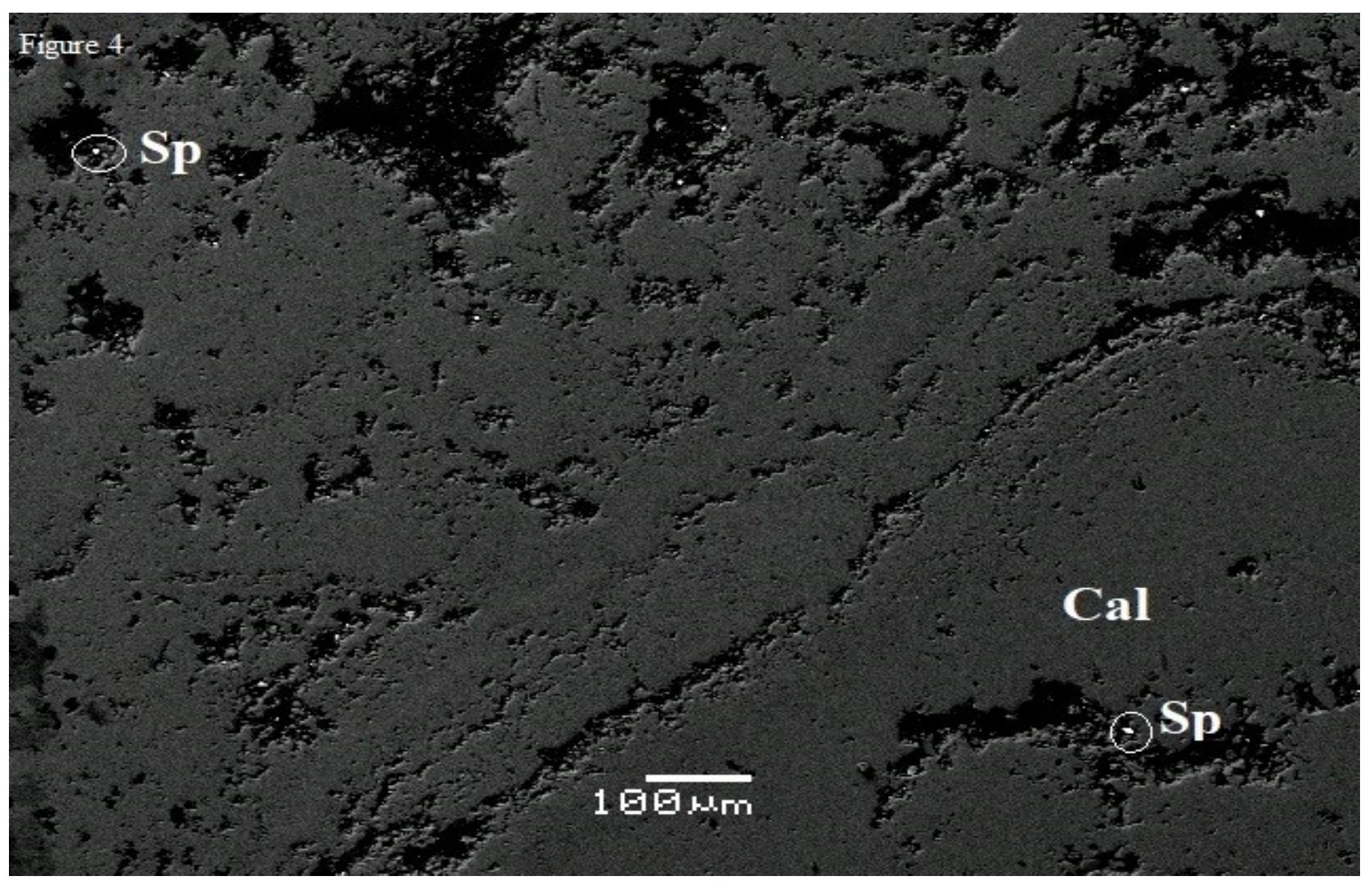 Figure 4: Representative backscattered SEM image of the travertine at the Drafi area (Mesogeia basin) showing dark grey calcite and sphi lerite. Abbreviations: Cal=calcite; Sp=sphalerite. 
