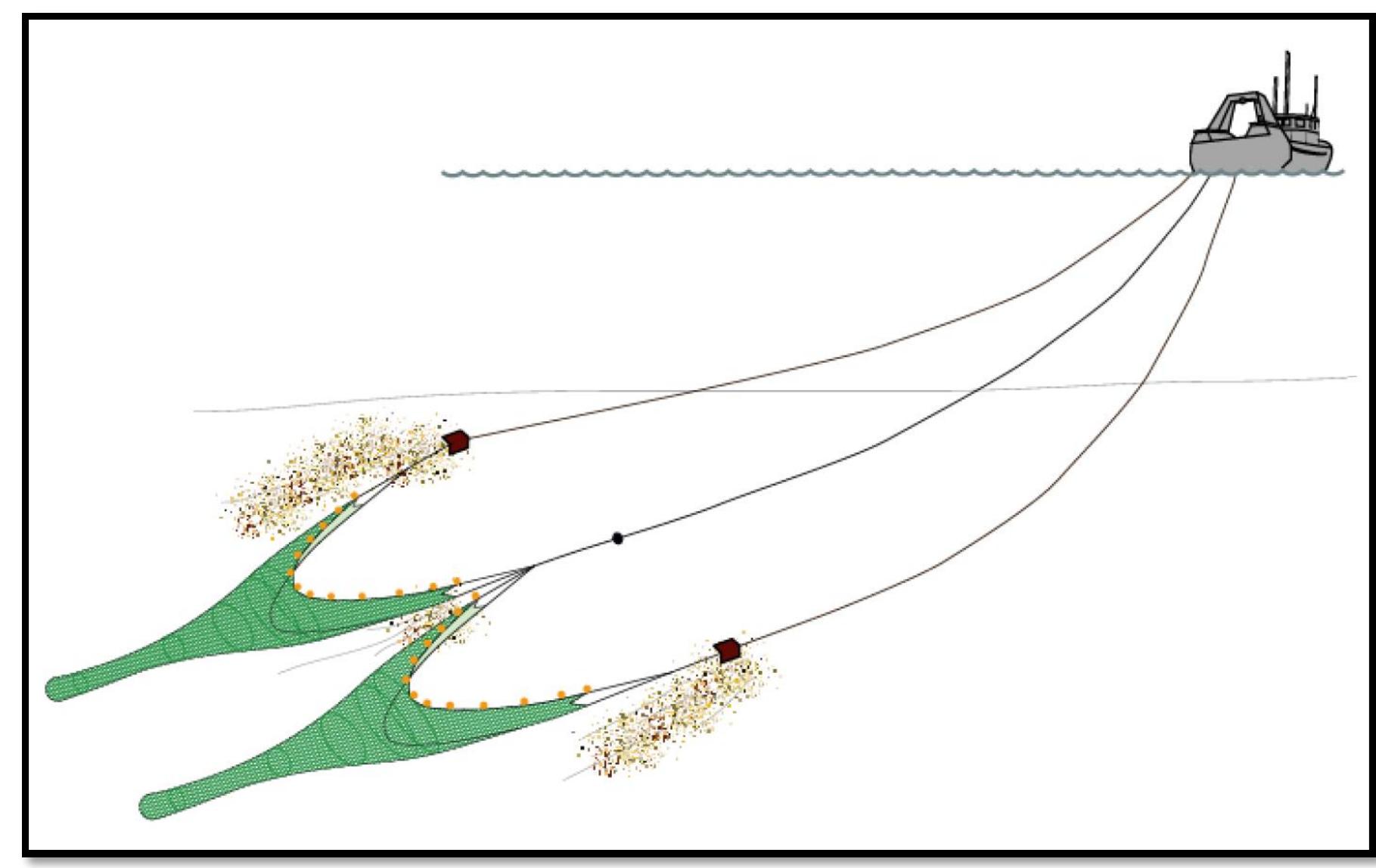 Multi Rig Trawling 26 - bottom trawling using two trawls (twin rig trawling).
