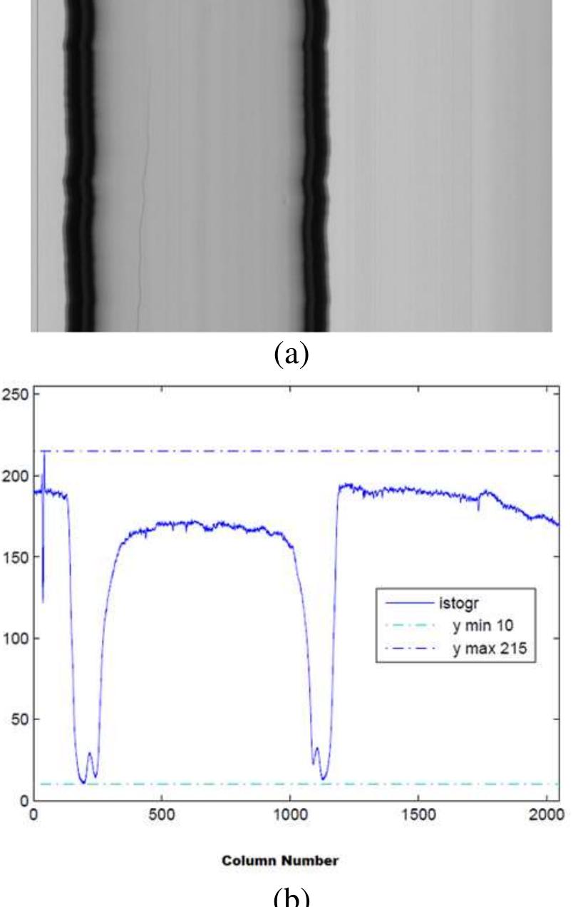 Visual Inspection Histogram Figure 5 - from A visual inspection system of glass ampoule