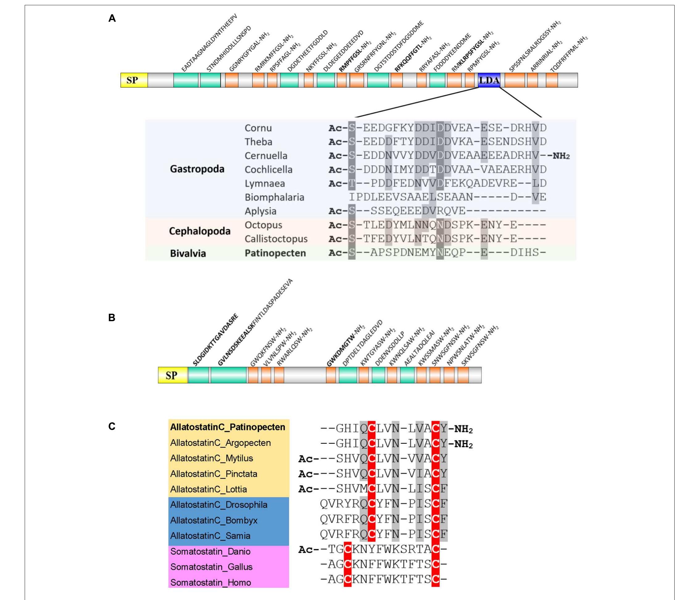 Figure 4 - from Identification and Characterization of