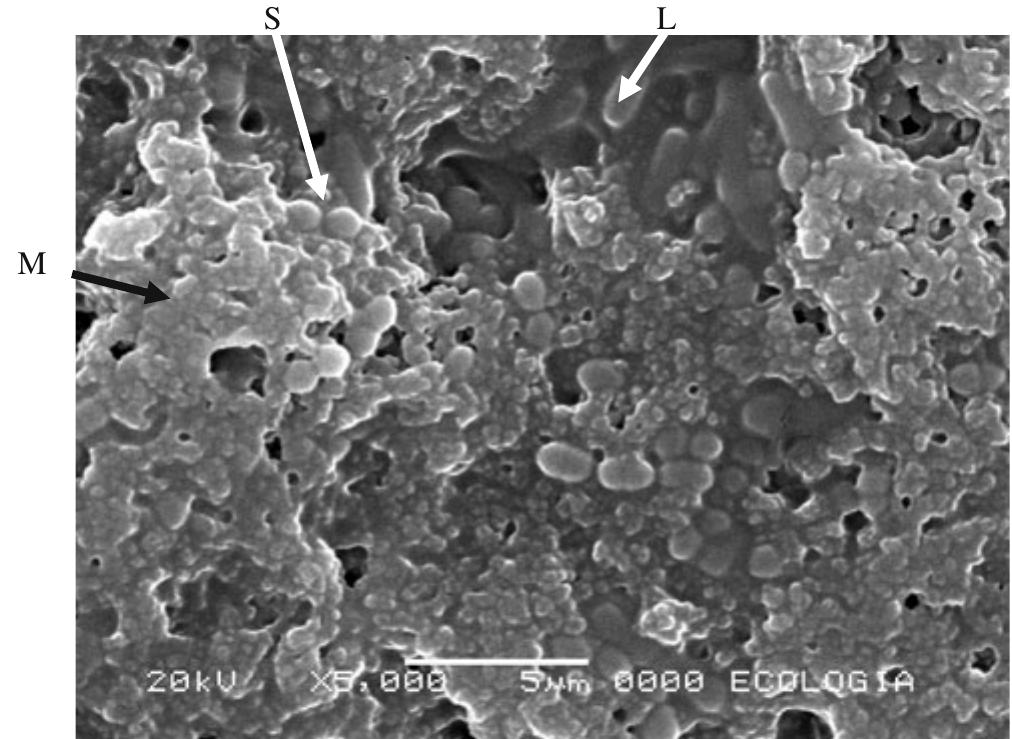 Figure 2 - from Spray Drying Yogurt Incorporating