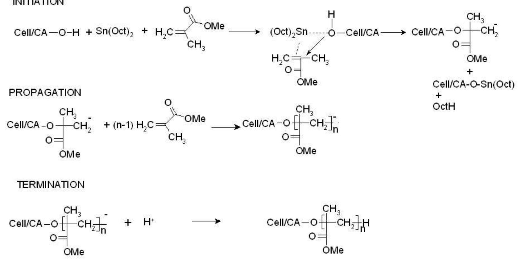(PDF) Grafting of Cellulose Based Materials : A Review