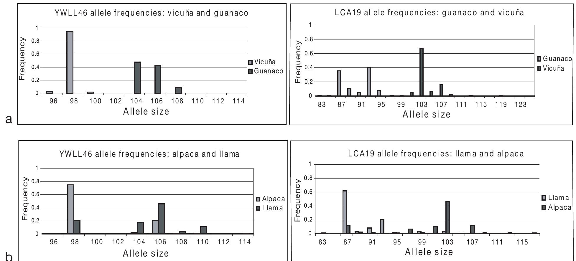 2 allele size and frequency histograms for lca 19 and ywll