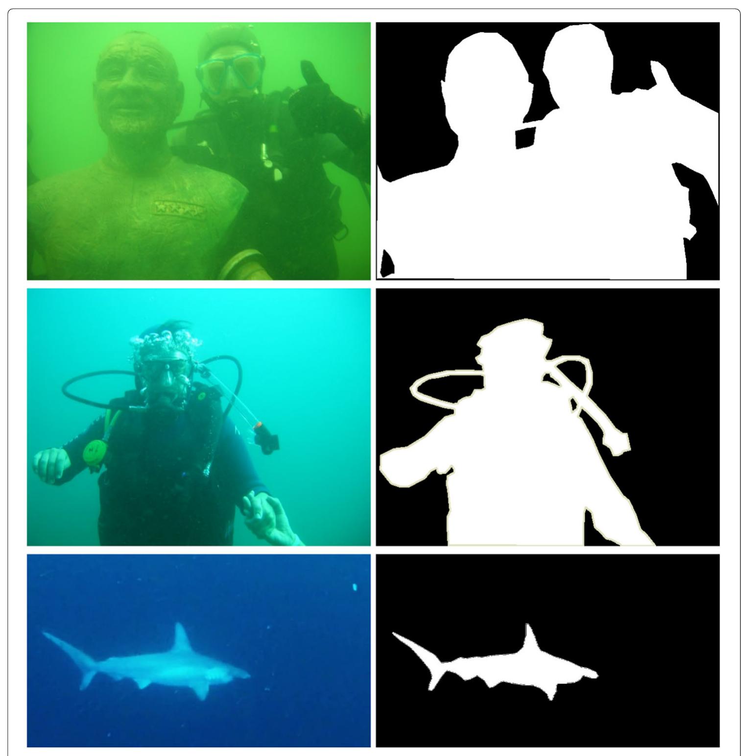 (PDF) Underwater image segmentation in the wild using deep learning