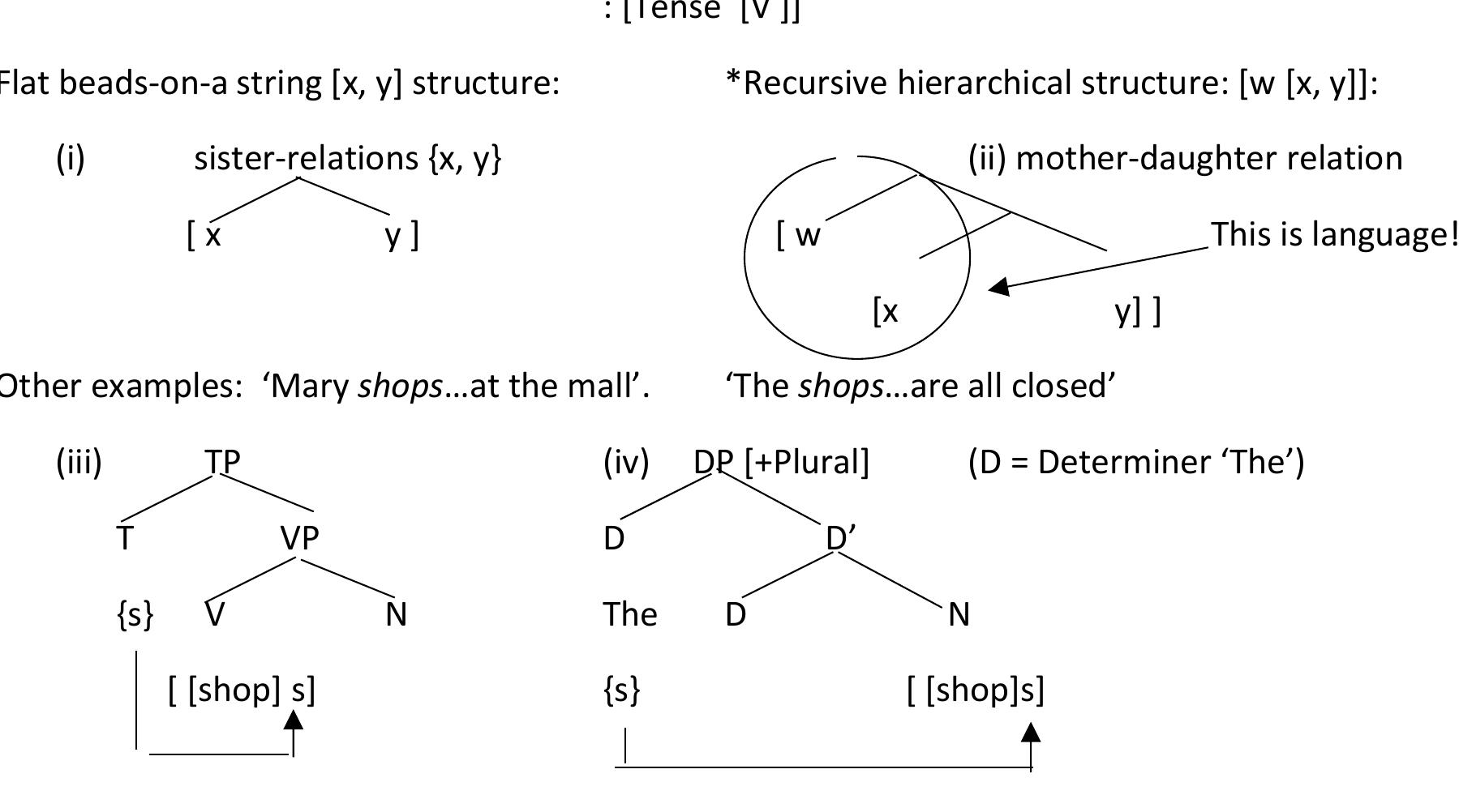 健康・医学 Recursive Syntax Joseph Galasso Joseph Galasso - Authors