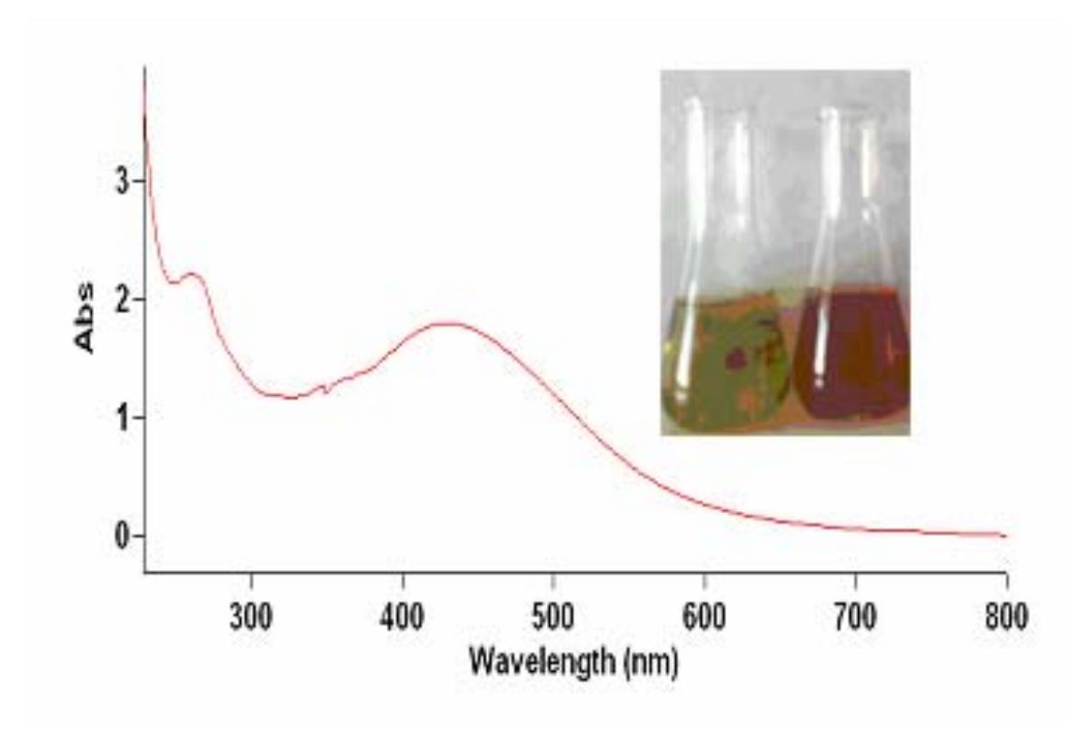 (a) uv-vis absorption spectra of colloidal ag nanoparticles