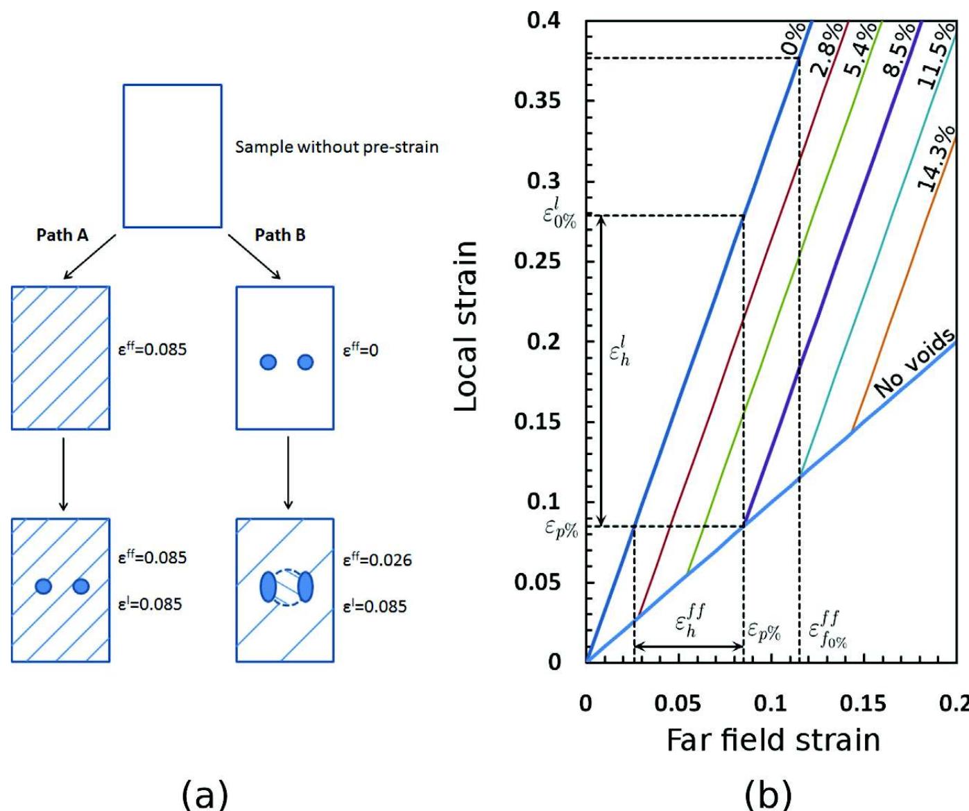 Strained Picture Example History (a) schematics comparing a sample pre-strained at 8.5% (path