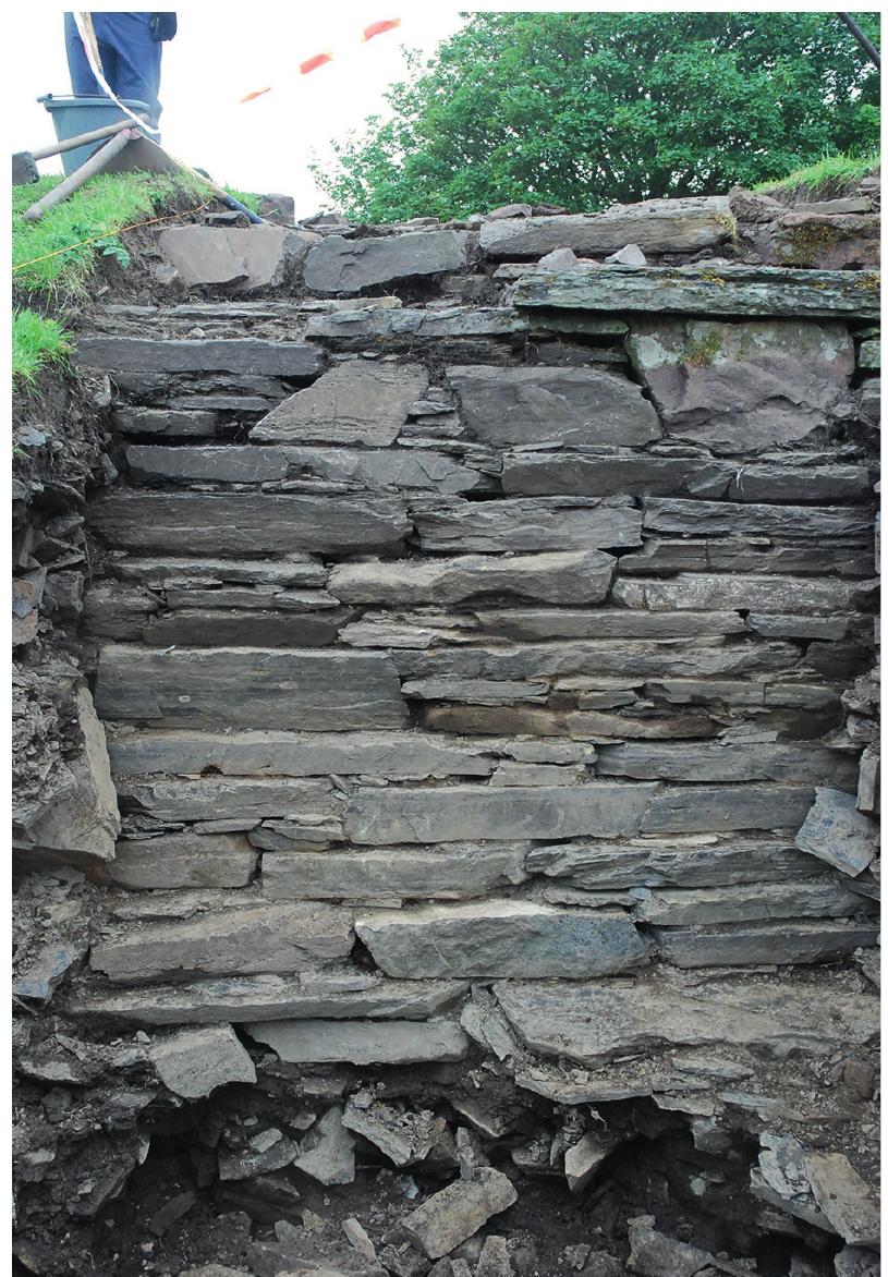 (PDF) The survey and analysis of brochs