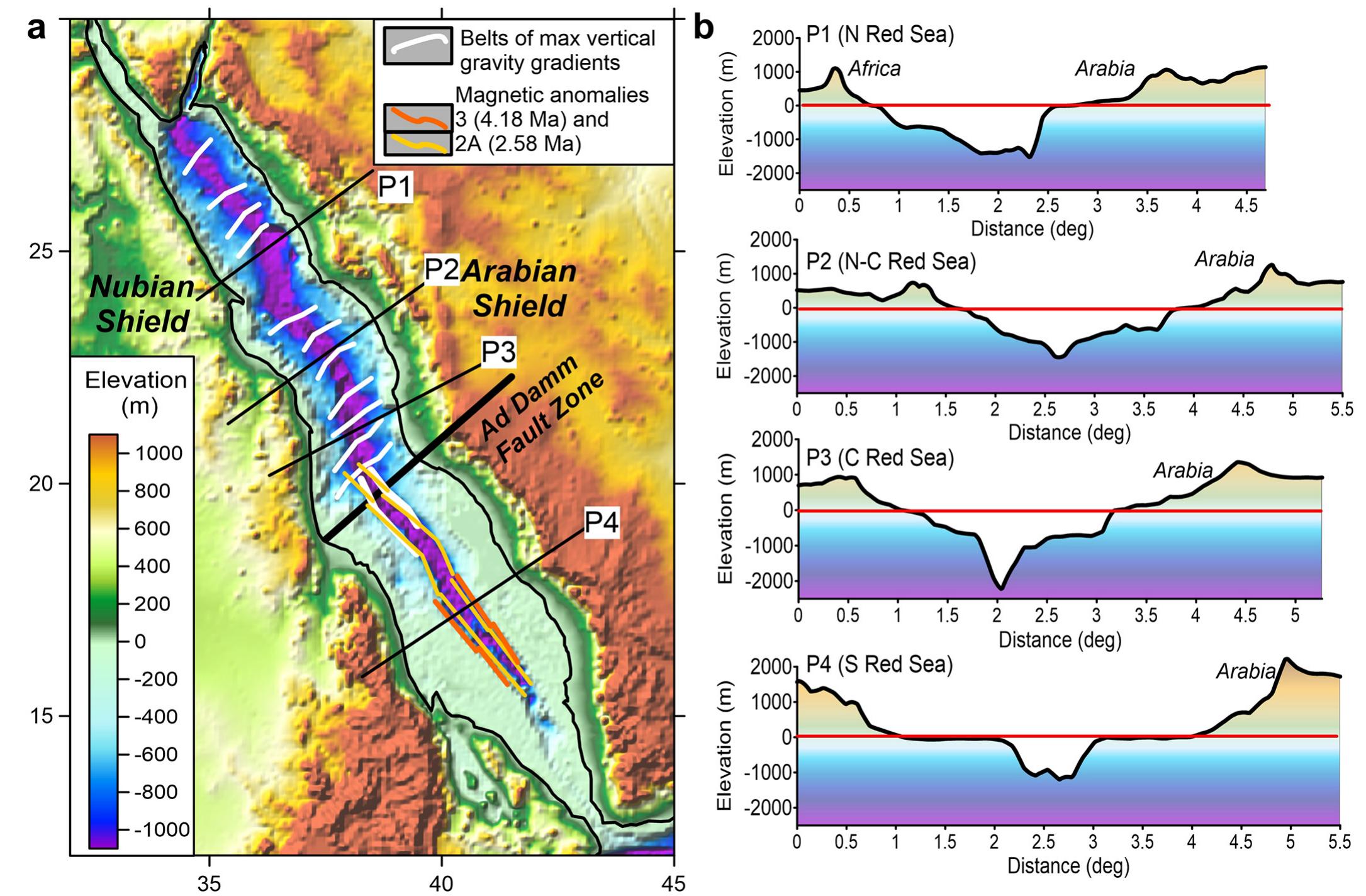 Fig. 2. (a) Topography of the Red Sea region. White lines — belts of the maximal values of the vertical gravity gradient (Augustin et al., 2021); the belts are perpendicular to the extensional axis north of ~20°N and are axis-parallel south of the Ad Damm strike-slip fault. The fault (thick black line, Zahran et al., 2019) separates the two domains with the contrasting styles of lithosphere deformation as also refelected in the Red Sea bathymetry. Orange lines in the southern Red Sea show the oldest recognizable magnetic anomaly 3; yellow lines mark magnetic isochron 2A (based on Schettino et al., 2016). Marine rift-parallel magnetic anomalies are absent north of ~20-22 °N and south of ~15 °N (Coleman and McGuire, 1988; Cochran, 2005; Schettino et al., 2016). (b) Topographic profiles across the Red Sea. Locations are marked in (a). (For interpretation of the references to colour in this figure legend, the reader is referred to the web version of this article.) 