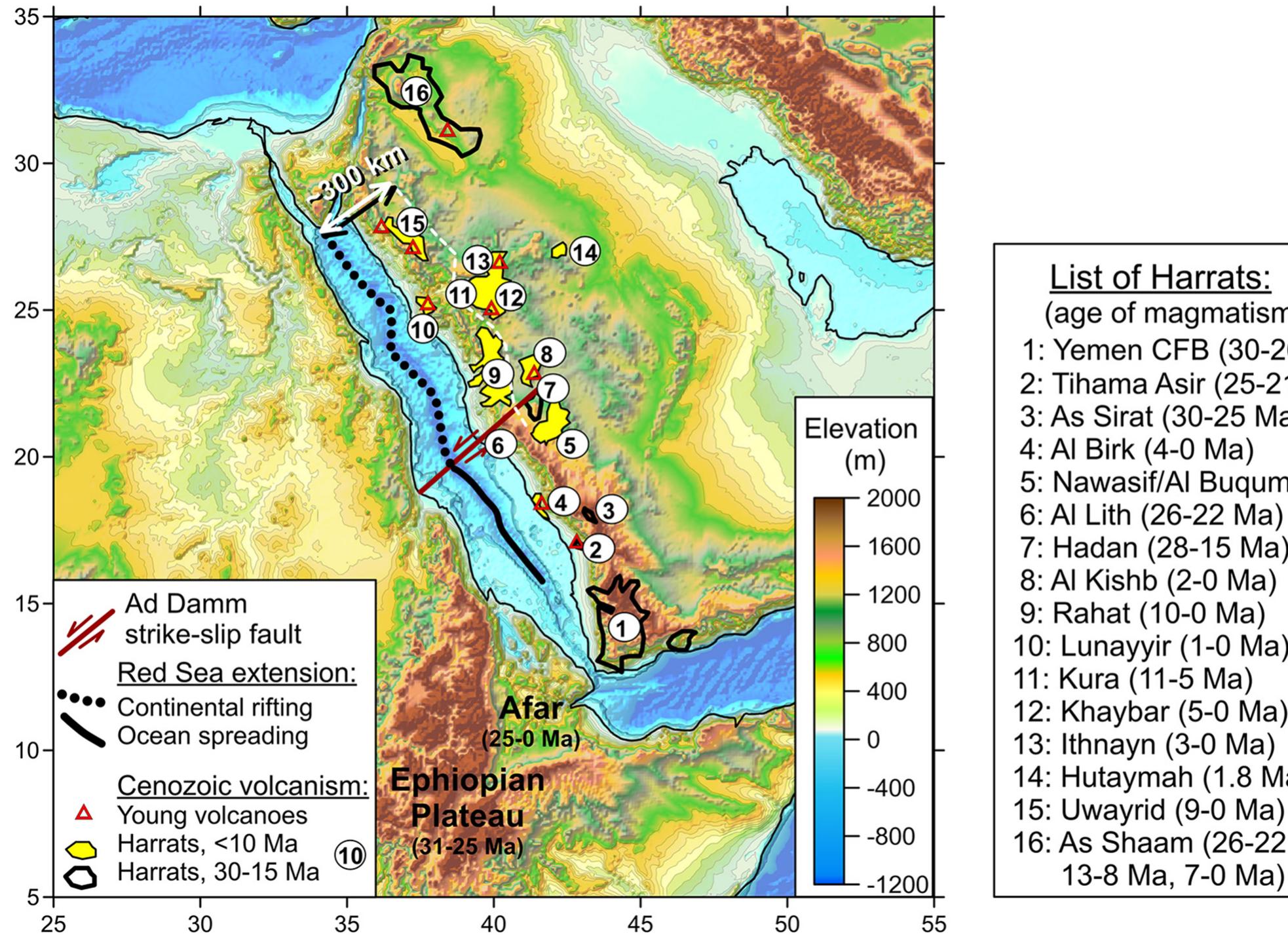 Fig. 4. Topography and volcanism in Arabia (Camp et al., 1991). Volcanism in Africa is not shown. White dashed line ~300 km eastward from the Red Sea axial zone follows the line of <10 Ma harrats. The transition from ocean spreading (black line) to continental rifting (black dots) in the Red Sea roughly corresponds to the Ad Damm strike-slip fault (dark red line) (Zahran et al., 2019). (For interpretation of the references to colour in this figure legend, the reader is referred to the web version of this article.) 