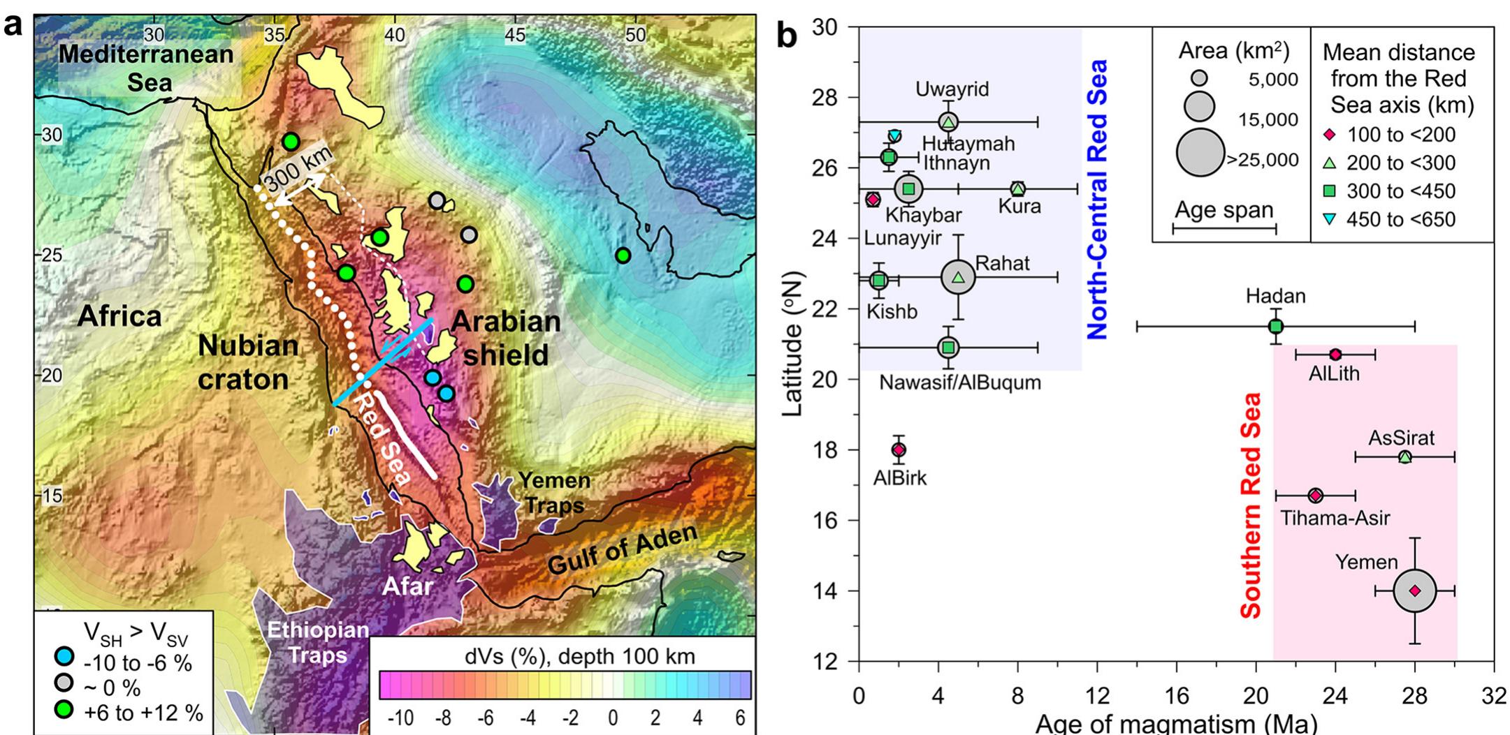 Fig. 5. Geophysical and geological observations in the Red Sea — Arabian Shield region. (a) Seismic Vs anomalies at 100 km depth (Schaeffer and Lebedev, 2013) superimposed on a shaded relief. Colour circles —- mantle transverse anisotropy (Tkalci¢ et al., 2006), negative/positive values correspond to vertical/horizontal mantle flow (see also Fig. 6b). Shaded areas - Cenozoic volcanism (Camp and Roobol, 1992) (purple 30-20 Myr, yellow 10-0 Myr). White dashed line 300 km eastward from the Red Sea axis follows central line of young harrats. The Red Sea axial zone is marked by white dots for continental rifting and white line for ocean spreading. Blue line - the Ad Damm strike-slip fault (Zahran et al., 2019) between the two domains with different styles of lithosphere deformation. (b) Age of magmatism, latitude, areal size, and distance from the Red Sea extensional axis for western Arabia harrats (for locations see Fig. 4). (For interpretation of the references to colour in this figure legend, the reader is referred to the web version of this article.) 