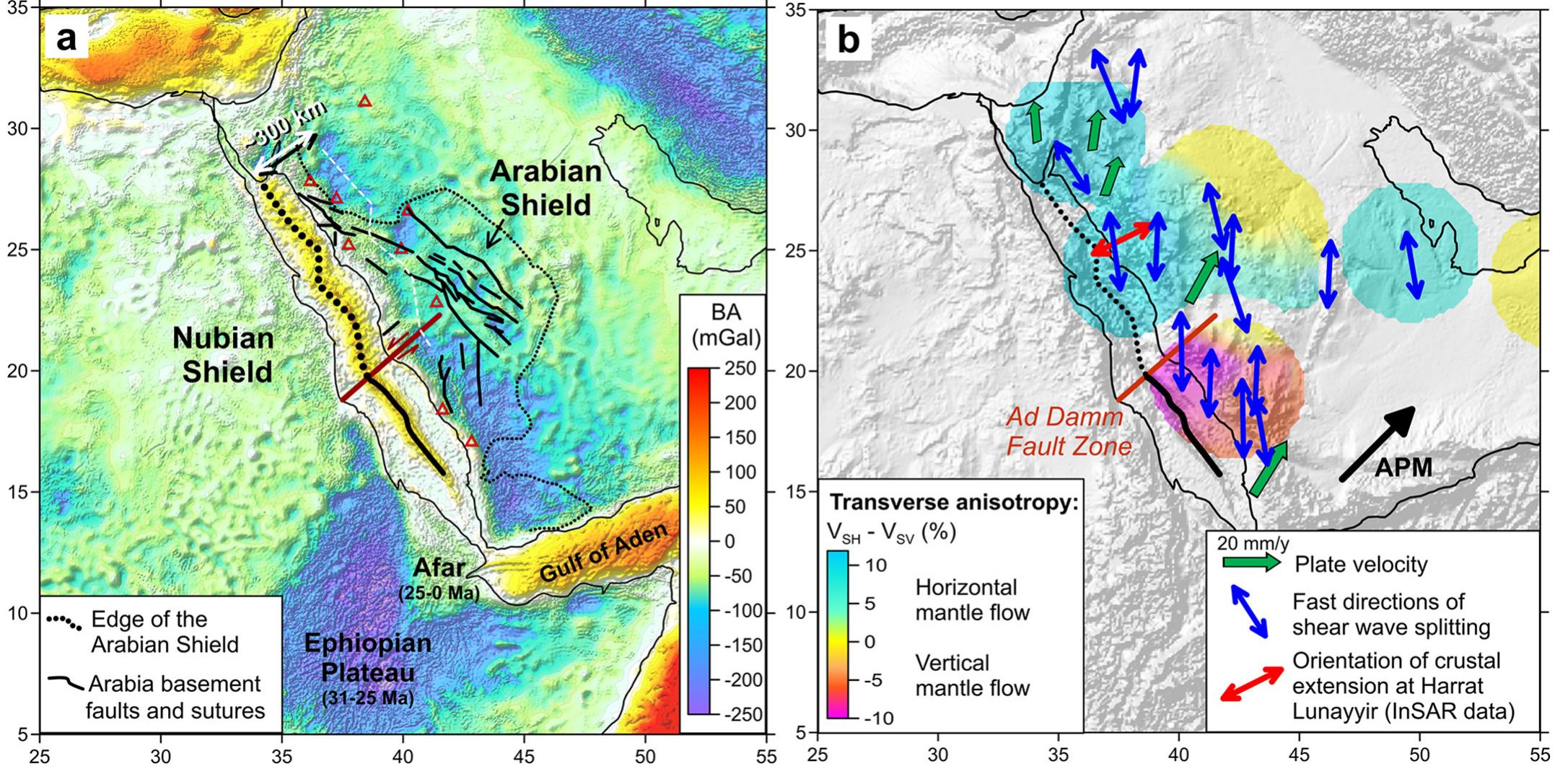 Fig. 6. Geophysical and geological observations in the Red Sea — Arabian Shield region (background — shaded relief). (a) Bouguer anomalies; thin dotted black line — outline of the Arabian shield; thin black lines — major faults in the Precambrian basement (after Johnson et al., 2011). White dashed line 300 km eastward from the Red Sea axis generally follows central line of young harrats. The Red Sea axial zone is marked by black dots for continental rifting and black line for ocean spreading. Dark red line - the Ad Damm strike-slip fault (Zahran et al., 2019) between the two domains with different styles of lithosphere deformation. (b) Crustal and mantle deformation styles. Background colors - mantle transverse anisotropy (interpolation based on (Tkalci¢ et al., 2006), see Fig. 5a), blue arrows - fast directions of shear- wave splitting (Hansen et al., 2006), red arrow - direction of a principal tensional axis in the crust at Harrat Lunayyir (Pallister et al., 2010), and green arrows - the Arabian plate velocity (Reilinger and McClusky, 2011). (For interpretation of the references to colour in this figure legend, the reader is referred to the web version of  this article.) 