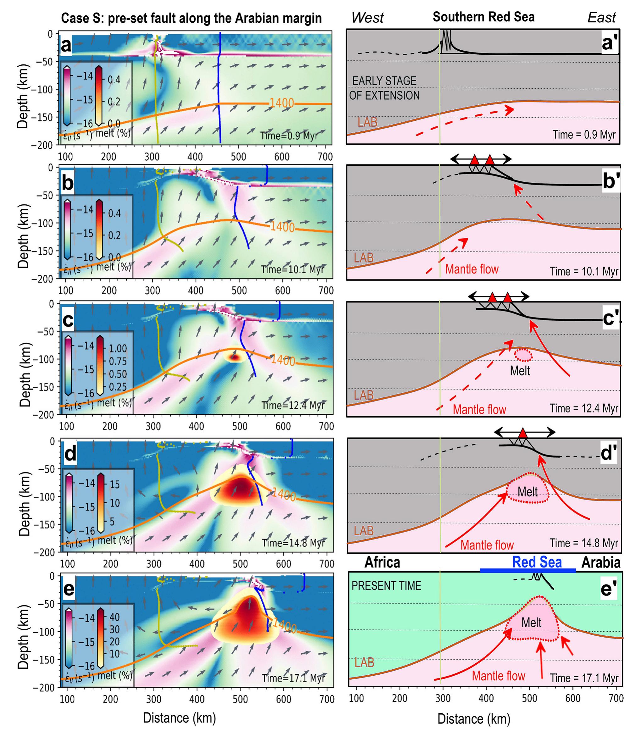 Fig. 7. Case S: Snapshots of strain rate (shown with log10 scale) and melt fraction evolution in the southern Red Sea (left) and line-drawings of major model features (right). Left panels: yellow and blue lines - deformation of initial vertical lines at the pre-set fault (km 300) and at the right end of the LAB ramp (km 450); arrows of uniform length show the material velocity direction; orange lines — 1400 °C isotherm. Right panels: black lines — faults (solid lines — major faults, dashed line — secondary faults); red lines — mantle flow direction; orange lines — lithosphere-asthenoshere boundary (LAB) assumed to be at 1400 °C isotherm; red triangles atop — volcanoes and harrats. (a): A low-angle lithosphere-scale detachment fault formed at an early stage of extension is marked by the zone of high deformation (magenta colors in the left panel and black line in the right panel). (b-c): After ~10 Myr of extension, mantle melting produces a zone of localized magmatism below the rift  graben; (d-e): ocean spreading begins after ~15 Myr. (For interpretation of the references to colour in this figure legend, the reader is referred to the web version of this article.) 