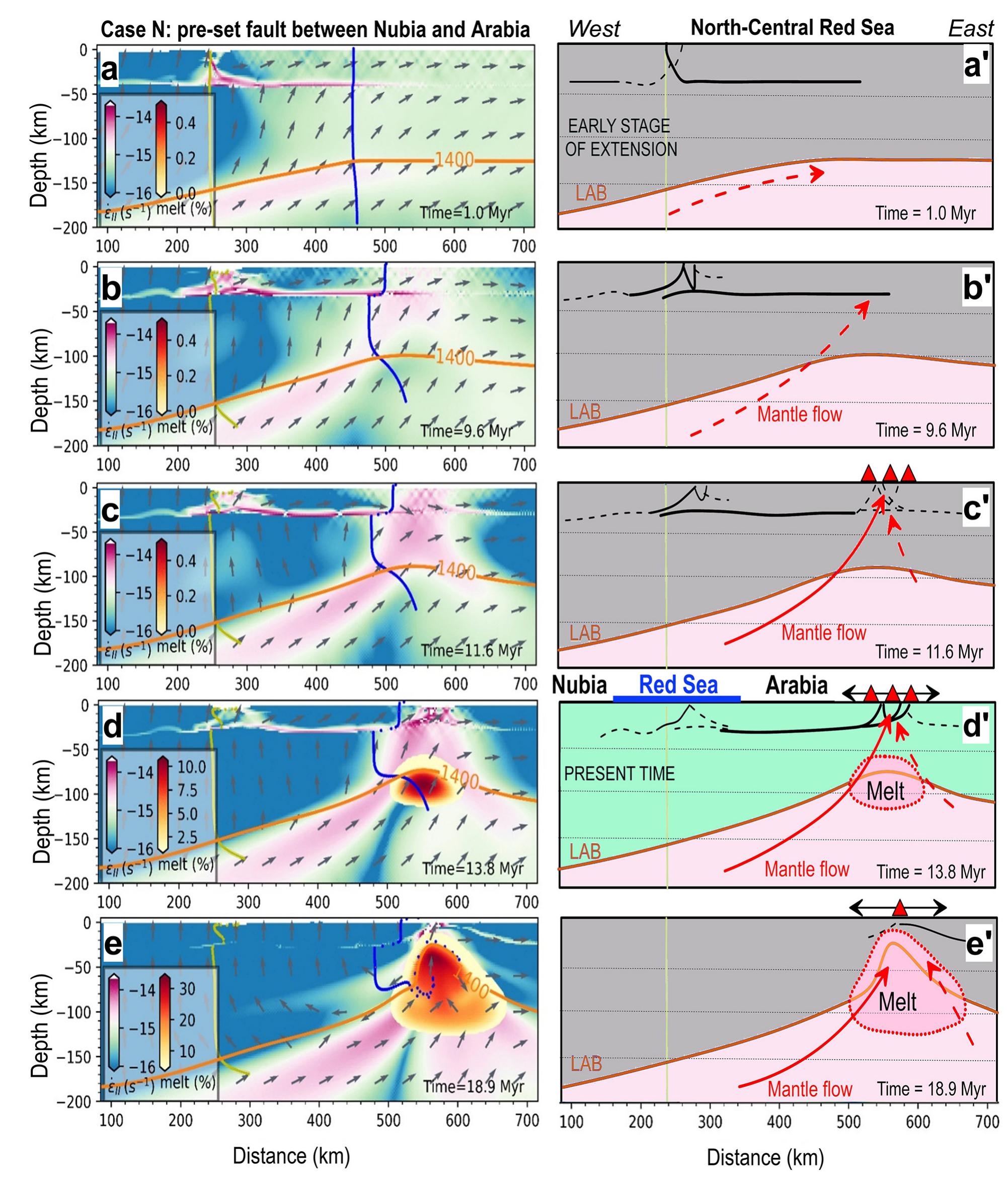 Fig. 8. Case N: Snapshots of strain rate and melt fraction evolution for the north-central Red Sea (left); line-drawings of major model features (right). The pre-set fault is at km 240. Notations as in Fig. 7. (a): A low-angle lithosphere-scale detachment fault is formed at an early stage of extension. (b-d): The weak zone localizes the crustal deformation; white and magenta colors within the crust (black lines in line-drawings) mark the Rea Sea rift graben; lithosphere extension forms a low- angle detachment (subhorizontal lines in a’-d’). (c-d): Lithosphere extension produces a zone of distributed magmatism displaced by ~300 km eastwards from the rift axis. (e-e’): Deformation localizes at the mantle melting region leading to continent breakup. (For interpretation of the references to colour in this figure legend, the reader is referred to the web version of this article.) 