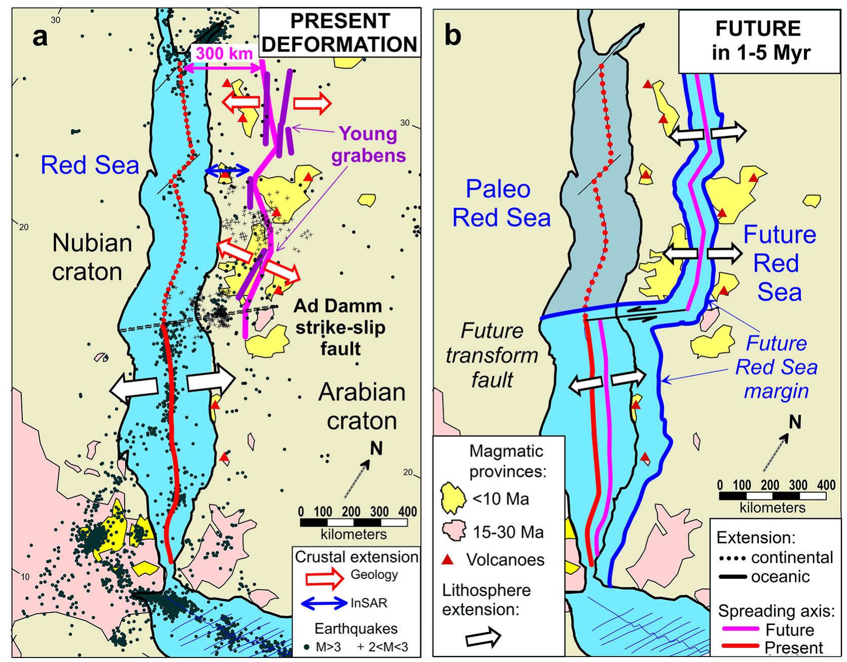 Fig. 9. Evolution of the Red Sea lithosphere extension. (a): Present deformation in the Red Sea region. Seismicity is based on international catalogues (http://www isc.ac.uk/iscgem/; http://earthquake.usgs.gov/earthquakes/; http://www.emsc-csem.org/Earthquake/) updated for regional 2 < M < 3 onshore events (Zahra et al., 2019). Purple lines — young extensional grabens (Zahran et al., 2019); yellow and pink shading - Cenozoic magmatic provinces (Camp and Roobol, 1992 magenta line follows the Red Sea axis displaced eastwards by 300 km. (b): Future position of the axial zone of lithosphere extension with the formation of a ne\ spreading axis in the north-central Arabia and a transform fault in the Ad Damm fault zone. (For interpretation of the references to colour in this figure legend, th reader is referred to the web version of this article.) 