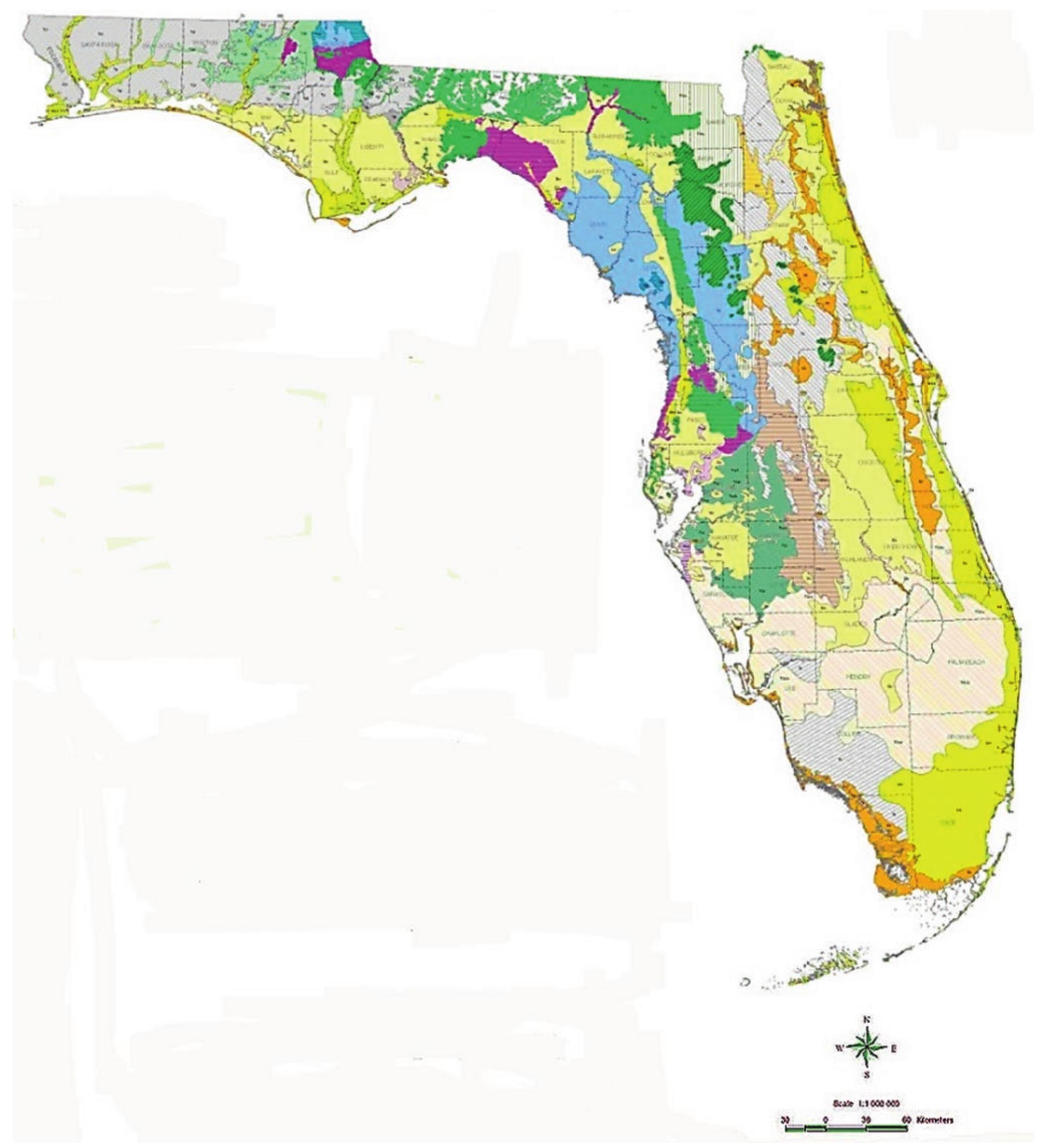 (PDF) Geologic Framework of Florida