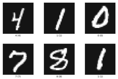 A sample of the example data elements from the mnist