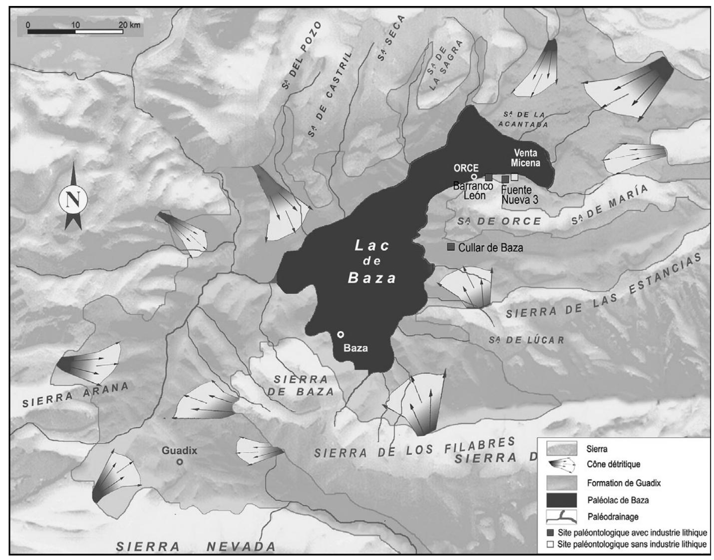 From: Barsky ef al. 2010, fig. 2; drawing: B. Magnaldi; courtesy: I. Toro-Moyano and H. de Lumley 