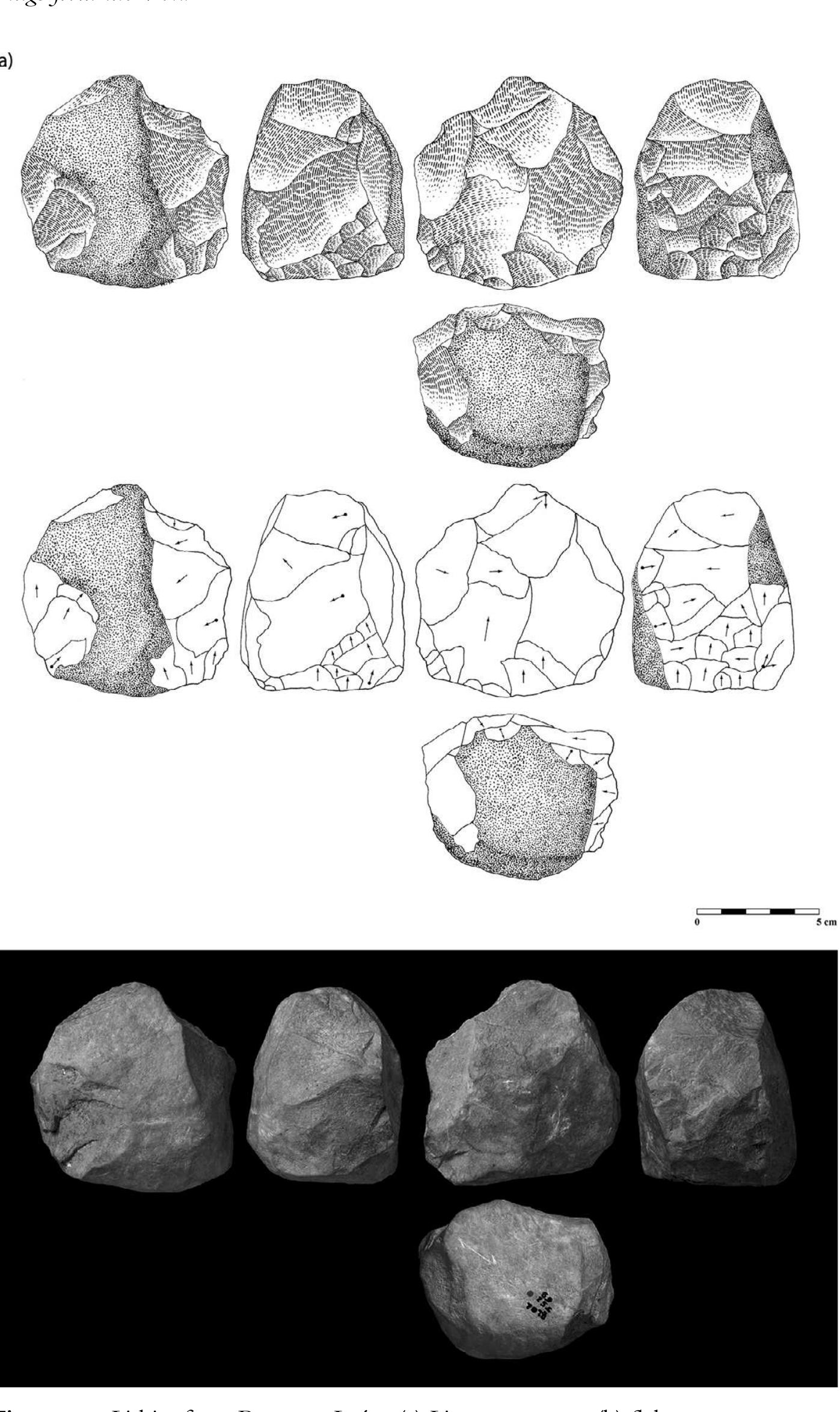 Figure 2.3 Lithics from Barranco Leon. (a) Limestone core; (b) flakes. 