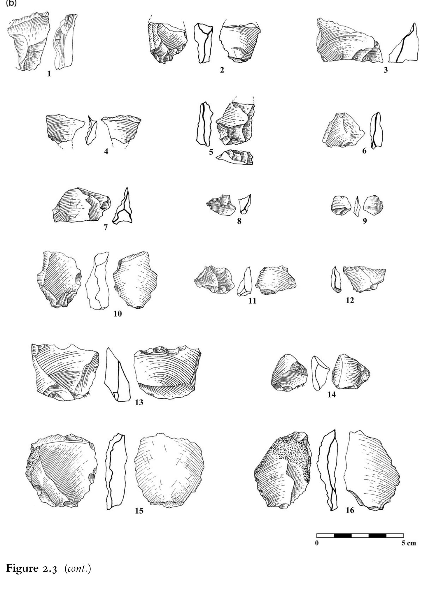 percussion instruments and worked cobbles. The only hominin fossil recovered, to date, is a deciduous molar from layer D, associated with lithics and mammal bones. Different methods were used to date this layer, including electron spin resonance, biochronological studies using morphological and morphometric data of vole (Mimomys savini),'~ and fossil amphibians and reptiles.'* These data indicate that the site was occupied during a warm interglacial peak between MIS  (Marine Isotope Stage) 43 and 49, between 1.36 and 1.47 mya. A second 