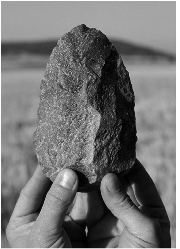 Figure 2.11 Excalibur hand axe from Sima de los Huesos. Photo: Javier Trueba/Courtesy Science Photo Library 