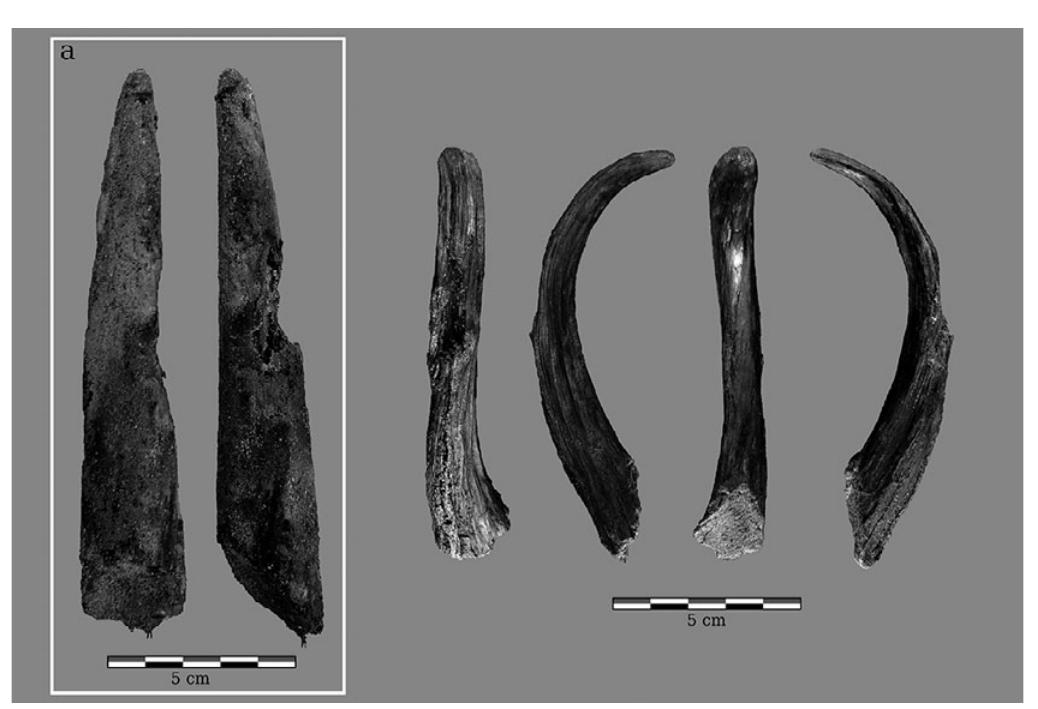 From: Rios-Garaizar ef al. 2018, fig. 4; https://creativecommons.org/licenses/by/4.0/legalcode  an optimal location for observing seasonal migrations. Its stratigraphy is made up of 20 m of deposit, which is comprised mainly of Middle Paleolithic levels that represent twenty-five occupational events of different durations, separated by travertine. These were dated by uranium series to between 70 and 40 kya.” Hearths were found in each archaeological layer, which displayed a range of forms and were analyzed by microfacies analyses.’* Coniferous woods (Pinus sylvestris) made up the primary fuel,’? but an allochthonous source was also detected.”* Wooden objects dated to 49,000-45,000 BP were also found.” They are irregularly shaped (one was as large as $5 X 20 X 2 cm’), charred, and closely associated with hearths and burnt animal remains. One could be identified as made from Juniperus. Their function is unclear, although they may have been used to carry food, shovel embers/ashes, or remove water from the flooding that occurred during the site’s use. Although these are not the only examples of wooden implements dated to the Middle Pleistocene (for example, a shaft made of yew more than 2 m long was found at Lehringen, Germany), their form appears to be unique, to date.  At the Middle Paleolithic open-air site of Aranbaltza III in northern Spain, 