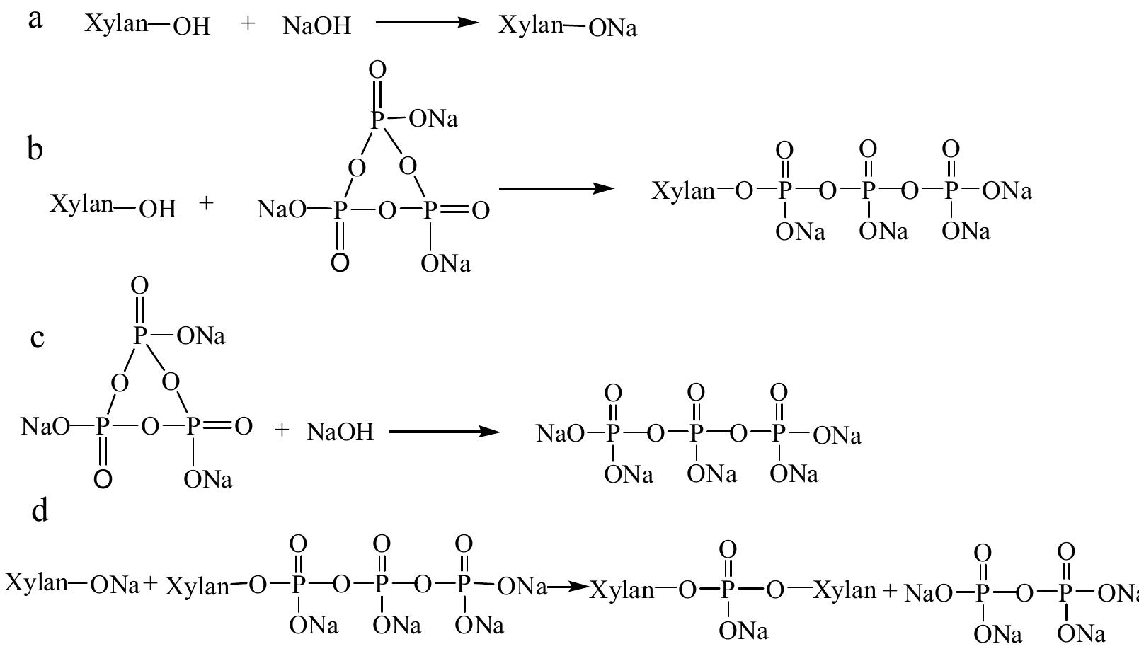Figure 2. The reaction of xylan and sodium trimetaphosphate (STMP).  2.3. Experimental Design 