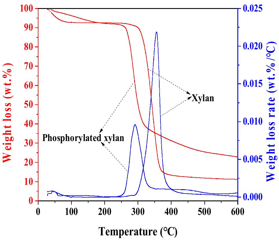Figure 7. Weight loss and weight loss rate of xylan and phosphorylated xylan.  Thermal analysis of unmodified xylan and phosphorylated xylan are illustrated in Figure 7. The samples of unmodified xylan and phosphorylated xylan were analyzed at a heating rate of  0 °C/min under  temperature of xy. from 240 °C to 350 the final products eft. However, at t  a nitrogen environment. The weight of unmodified xylan and phos  phorylated  xylan decreased gradually with the increase in the temperature from room temperature to 150 °C; this was attributed to the loss of moisture in the samples [37]. The weight loss of unmod started at around 230 °C while that of phosphorylated xylan started at 210 °C. The main d an ranged from 250 °C to 450 °C; however, that of phosphorylated xylan ranged  ified xylan egradation  °C; this suggests that the chemical modification led to the lower therma  his temperature, more than 20 wt % of phosphorylated xylan was left,  mainly due to the phosphorylated groups as stated in previous works [13].  stability of  27]. When the temperature reached 400 °C, only 11 wt % of the xylan sample was  which was 