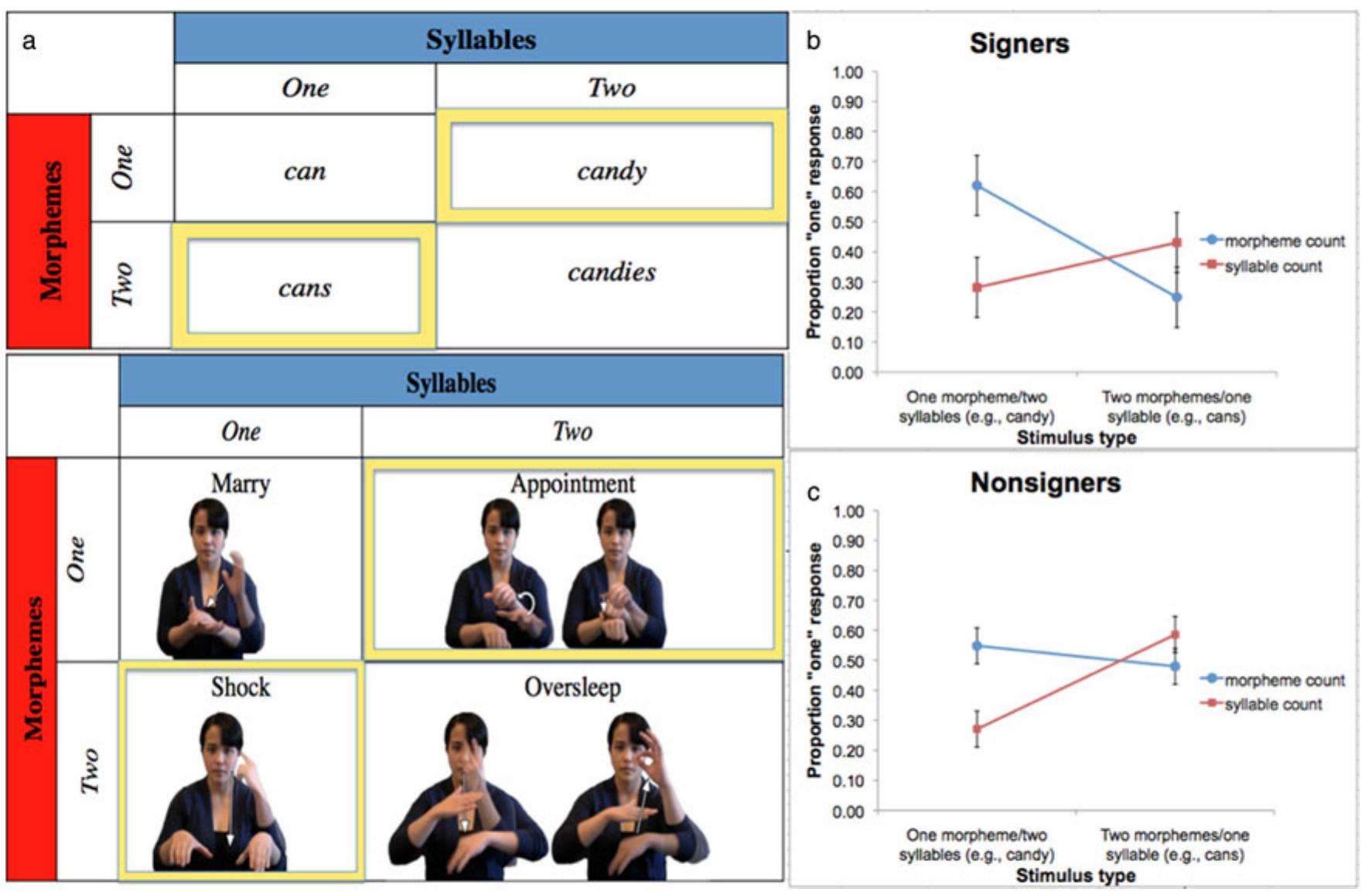 (PDF) Gesture, sign and language: The coming of age of sign language ...
