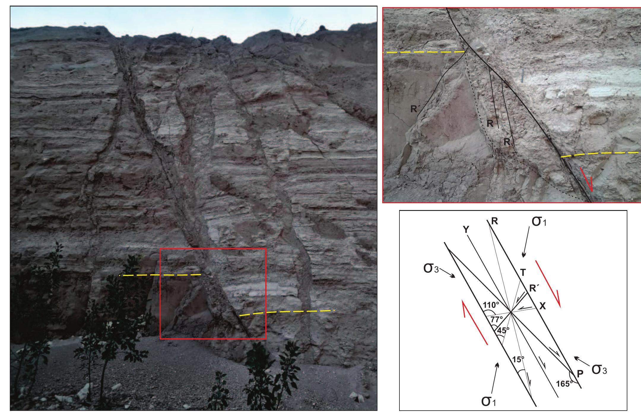 Model Riedel Fault Schematic of a normal fault illustrating the net slip vector