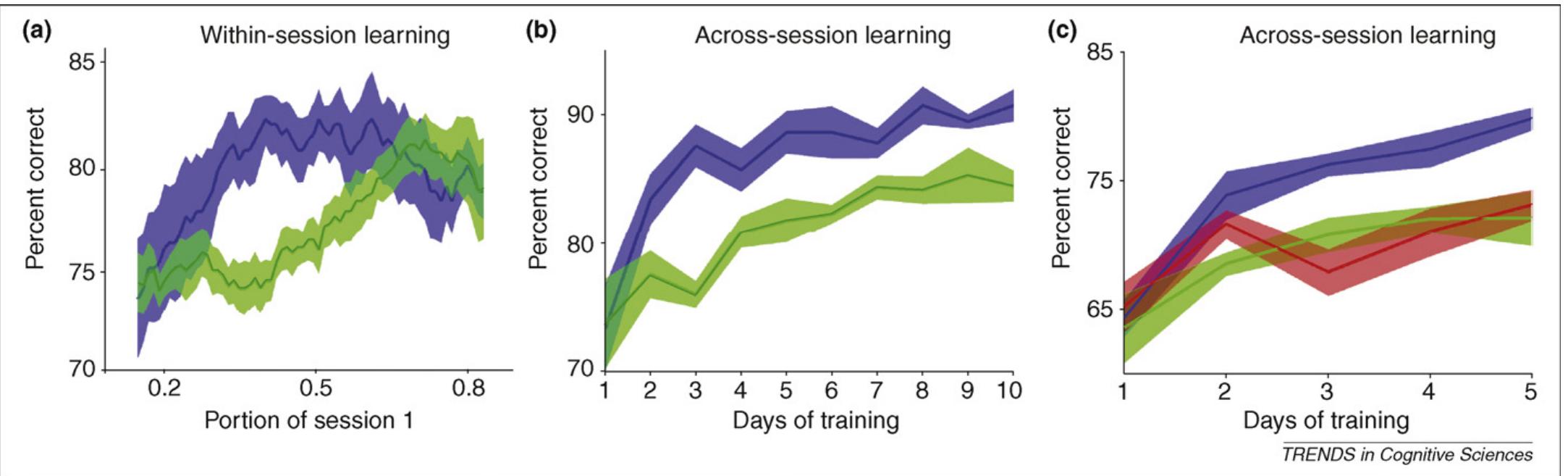 (PDF) Benefits of multisensory learning
