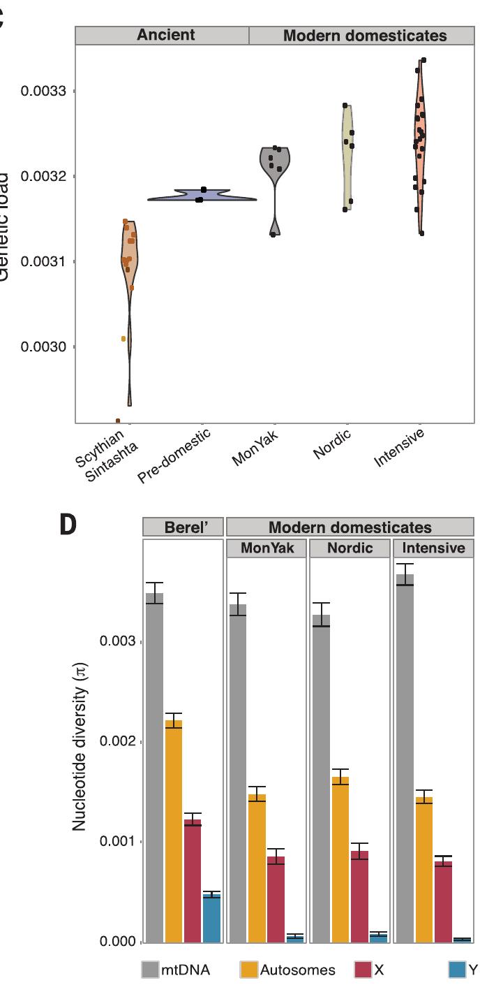 (PDF) Ancient genomic changes associated with domestication of the horse