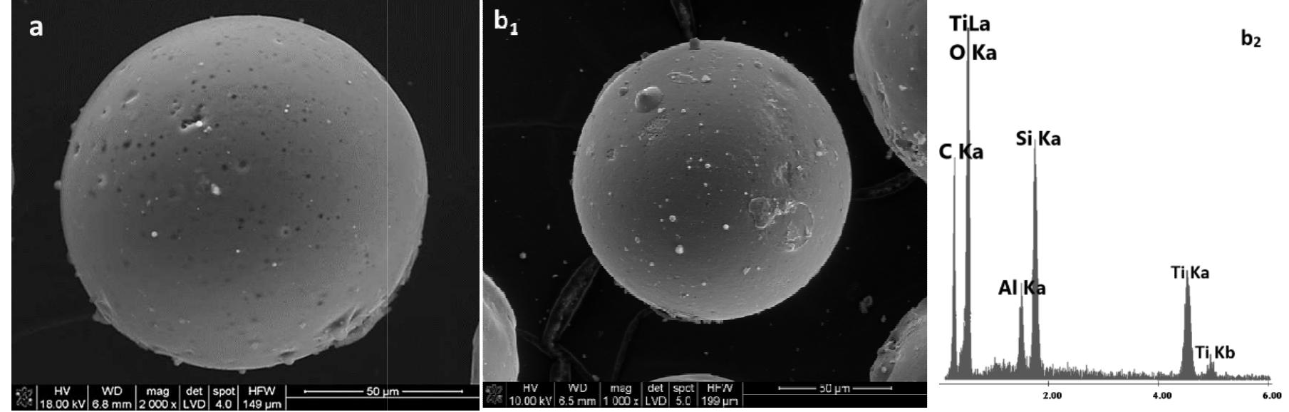 Tem micrographs of: a) sample nago, b) sample ns6o rys. 4.