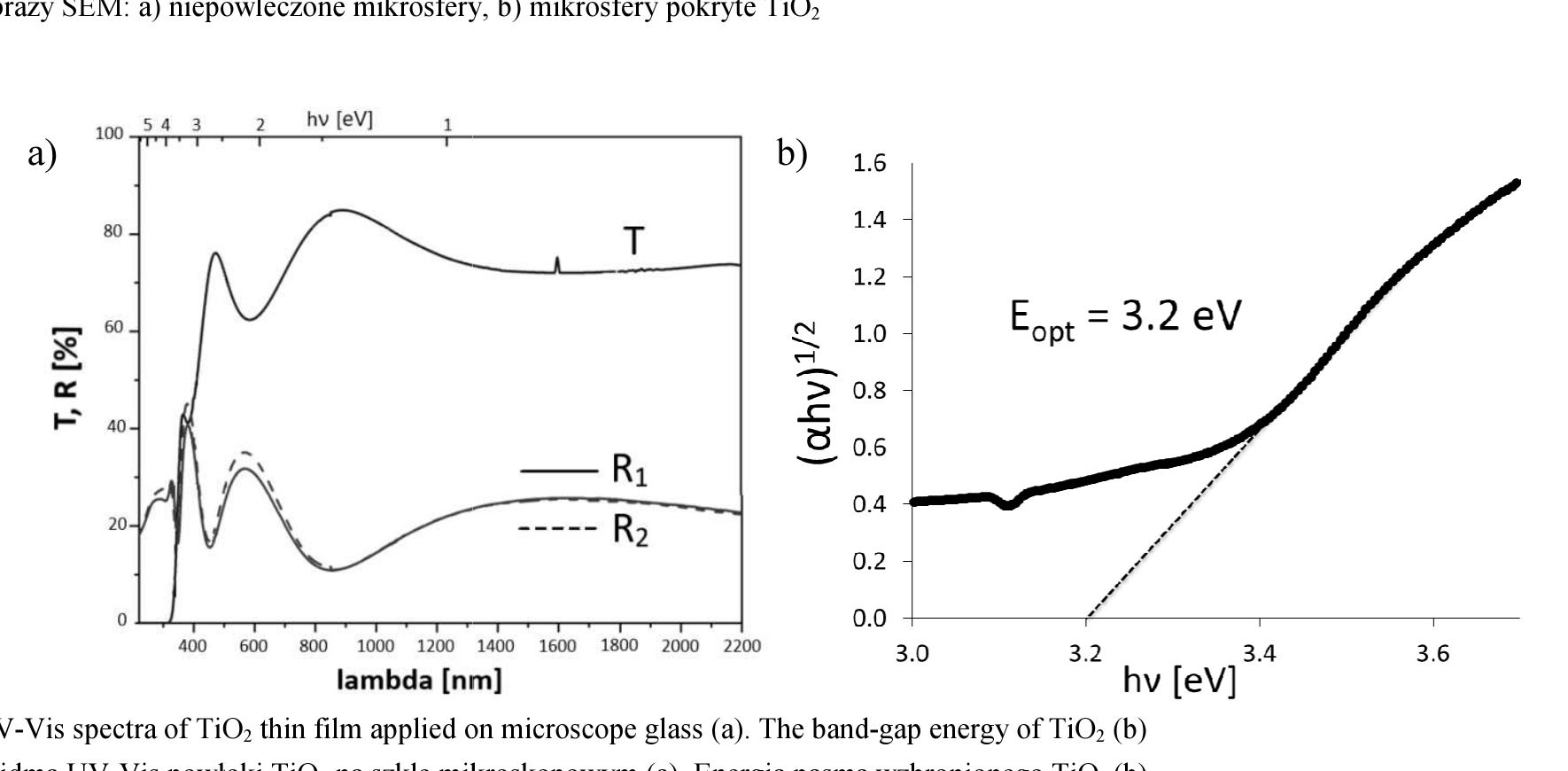 Tem micrographs of: a) sample nago, b) sample ns6o rys. 4.