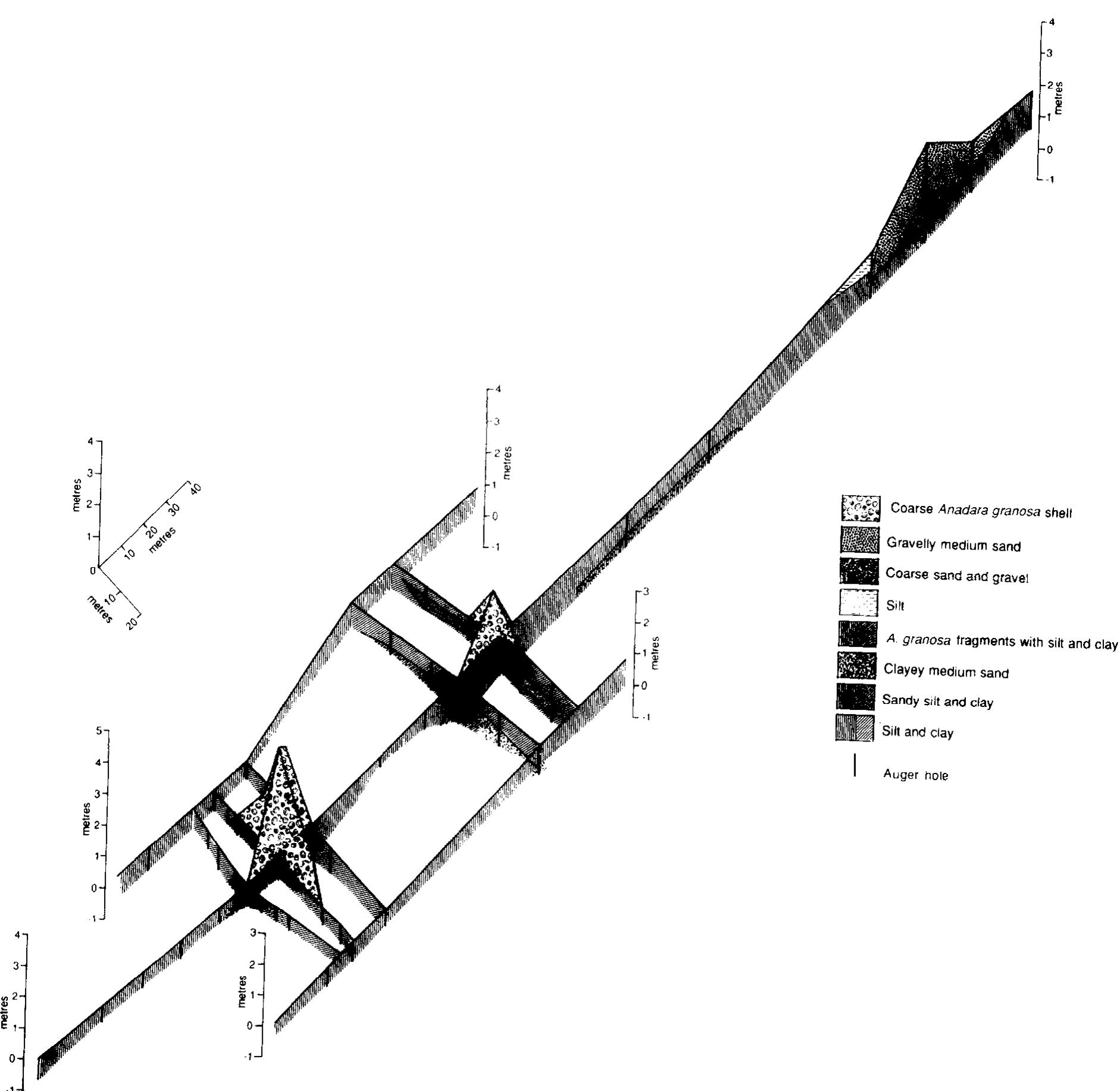 Fence diagram showing shell mounds and sandy ridge along