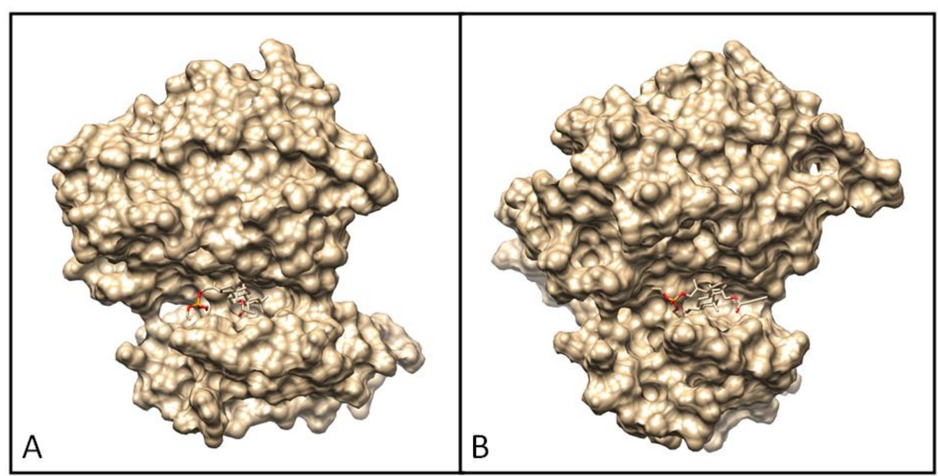 Docking pose of egfr tyrosine kinase complex with 7a (a) and