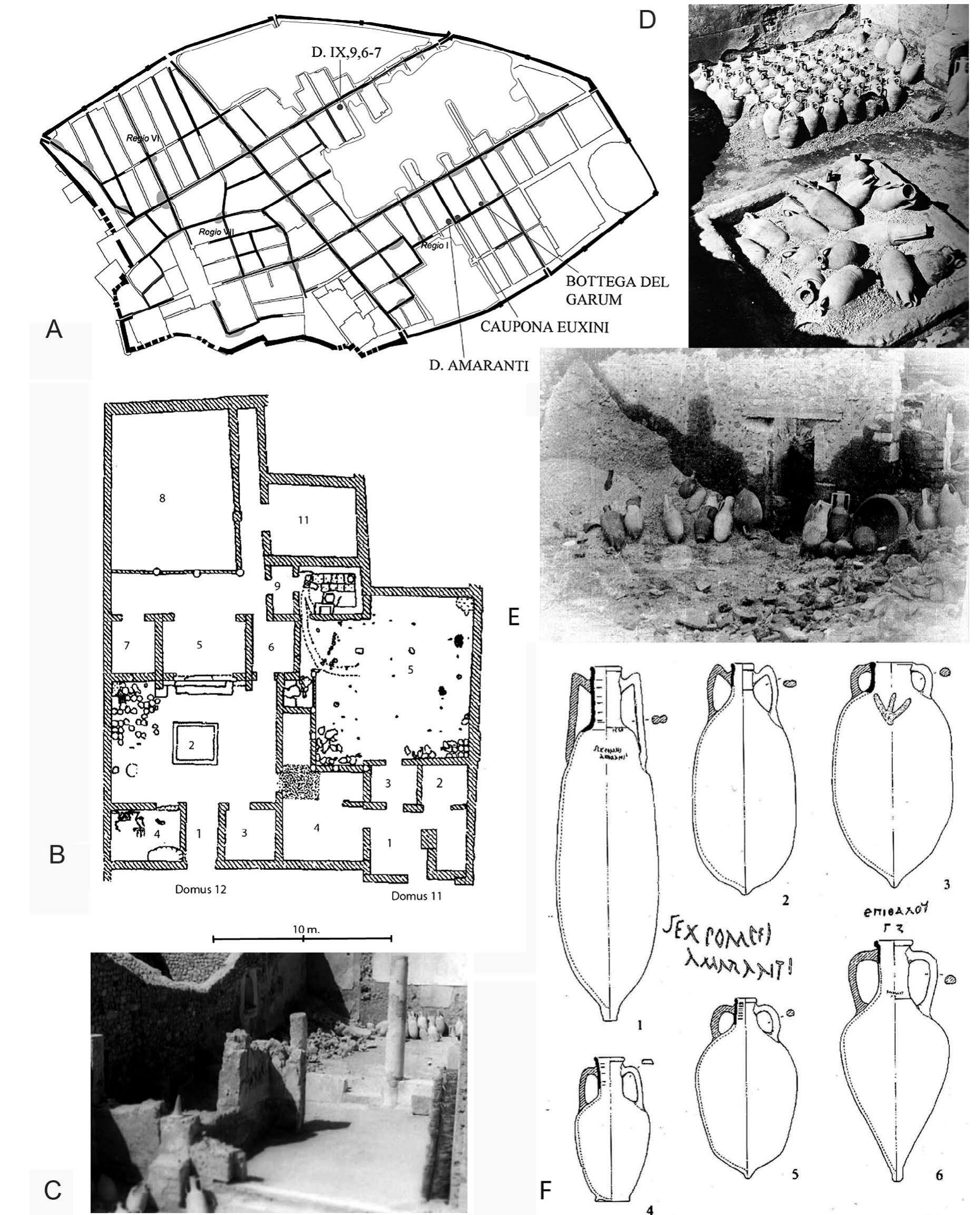 Figure 3. A. Location of referred Domus on the map of the urban activity of Pompeii (from Viitanen  et al. 2013, p. 65, fig. 3). B. Plan of the Domus Amaranti with the remained archaeological layer  from 79 A.D. that was excavated in 1995-1996 (from Fulford and Wallace-Hadrill 1998b: 86, fig.  9). E-C. Photographs after the excavations of 1952-1953: C. View of the tablinum and viridarium 8;  D. Impluvium and northwest corner of the atrium (from the website Pompeii in pictures); E. View of  the viridarium 5 towards the Southeast (from Berry 1997: 115, fig. 4). F. Amphorae of the levels of 79 d.C. (Timby 2004: 386, fig. 6). 
