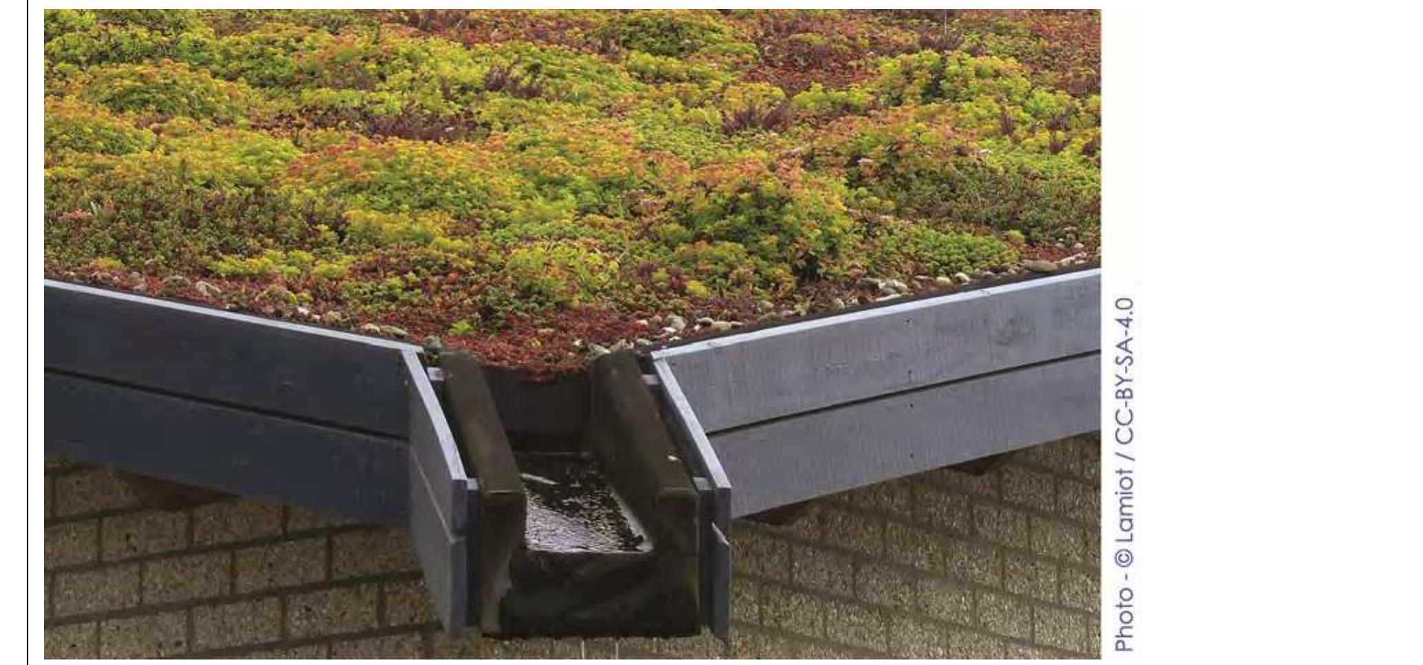 Green roofs and decoupling of rainwater drainage from