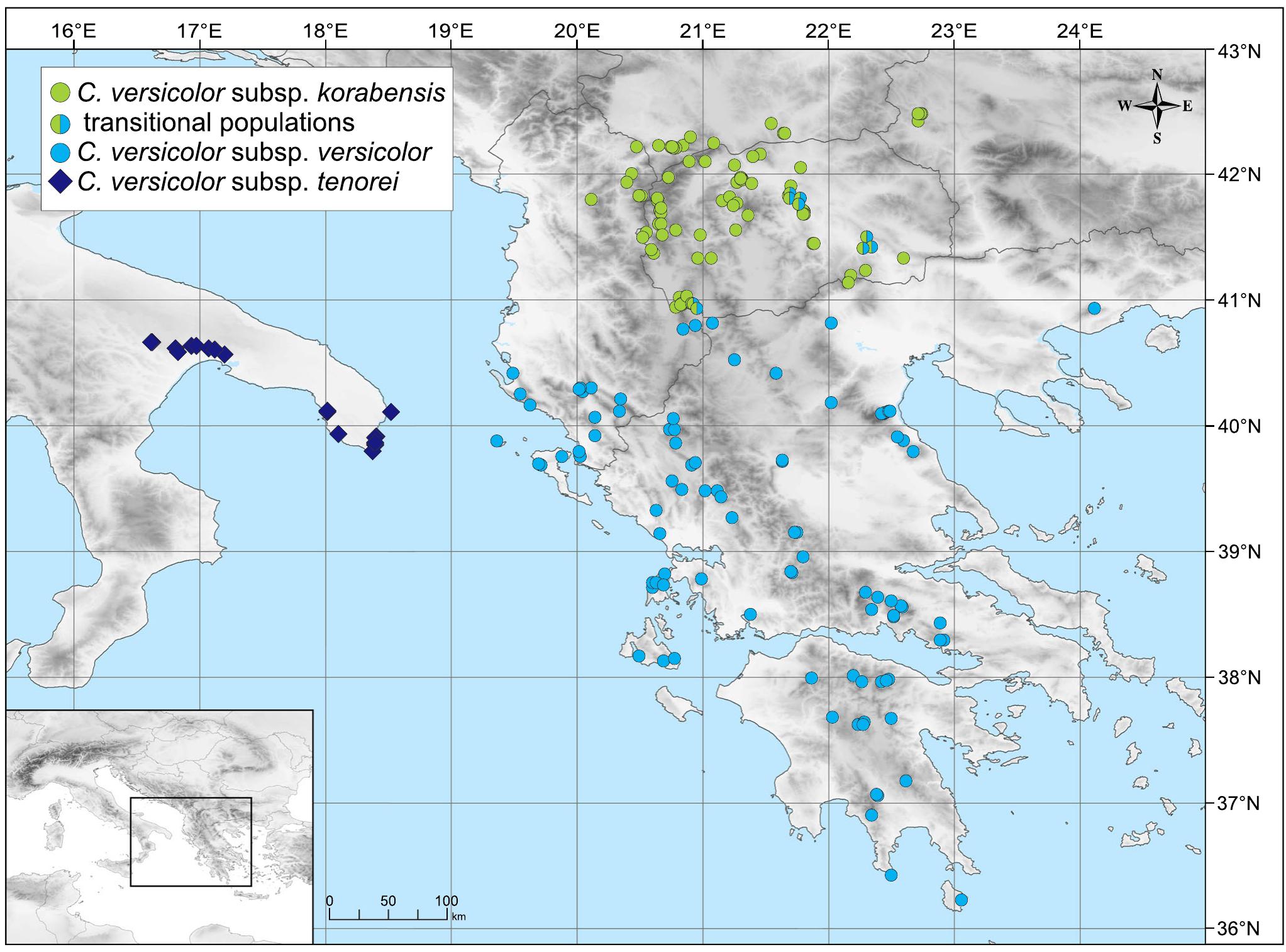 Distribution map of three subspecies of c. versicolor and