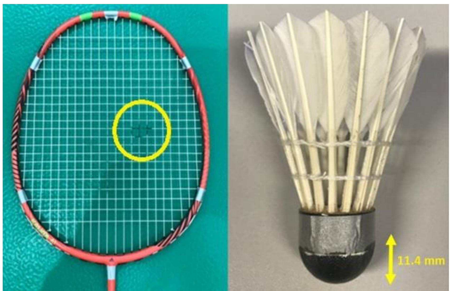 (PDF) Effect of racket-shuttlecock impact location on shot outcome for ...