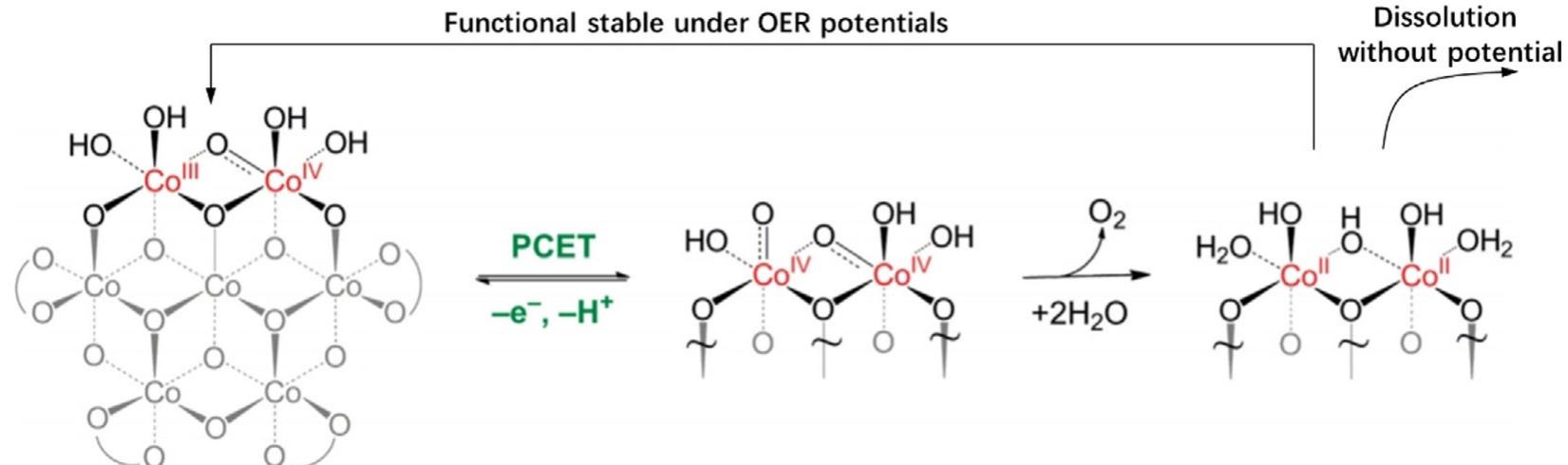 Proposed structure and oer mechanism of copi water oxidation