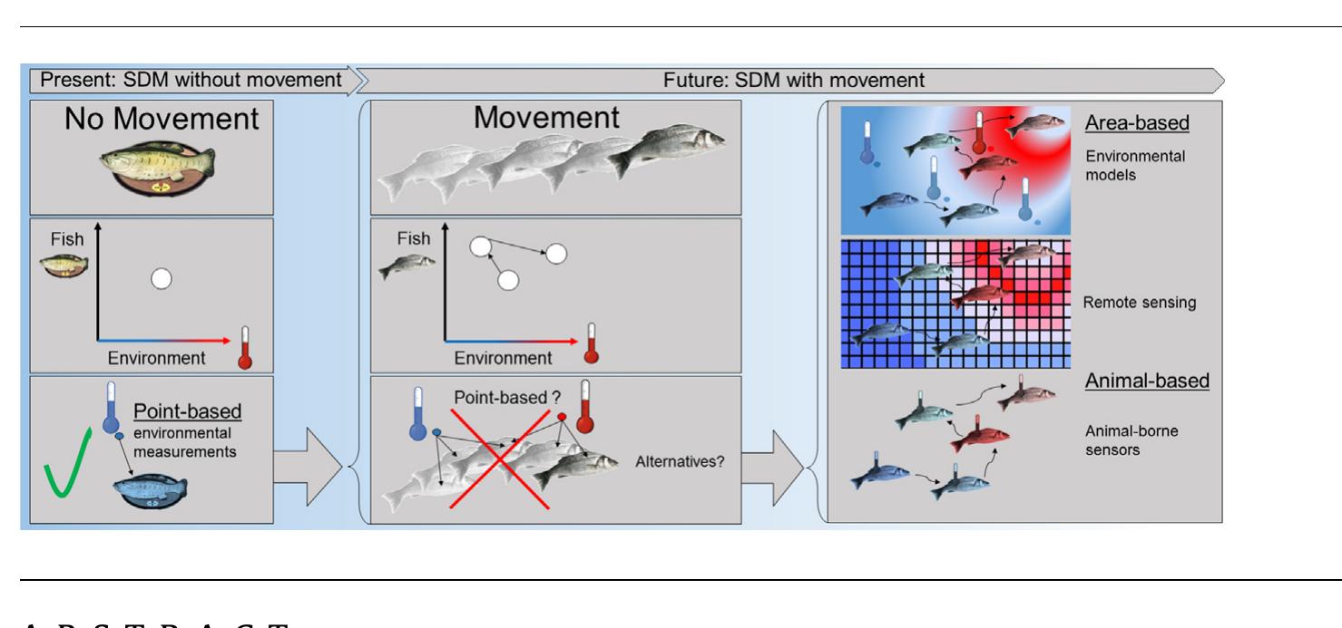 (PDF) Implications of movement for species distribution models ...