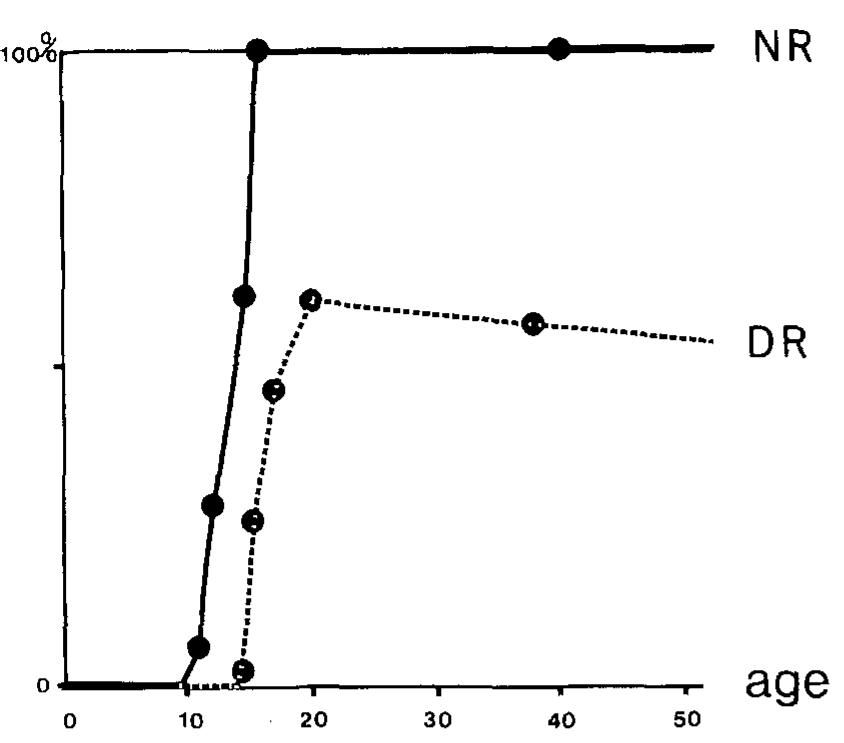 (PDF) Development of orientation selectivity in the primary visual ...