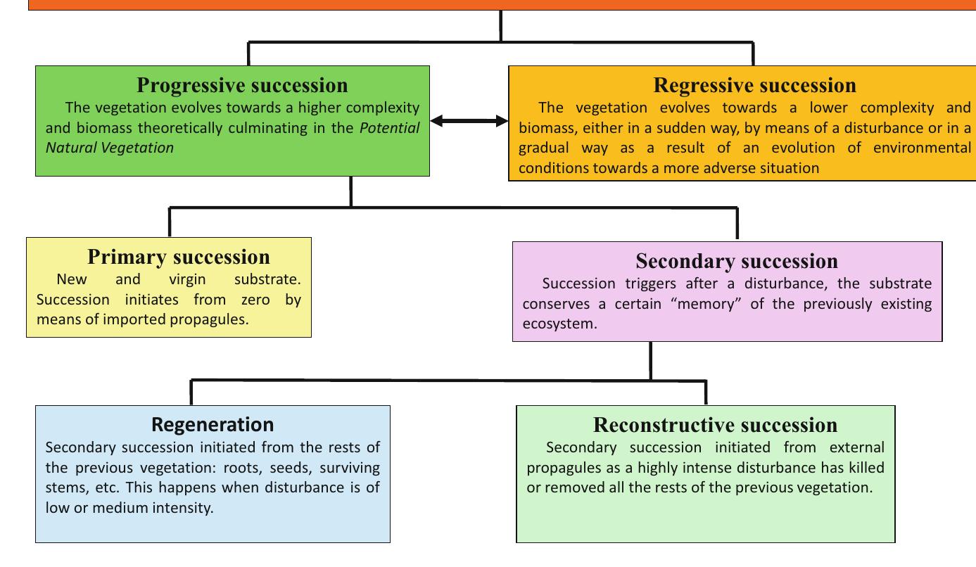 Successior Example Figure 5 - from Dynamism in Vegetation. Vegetation Changes
