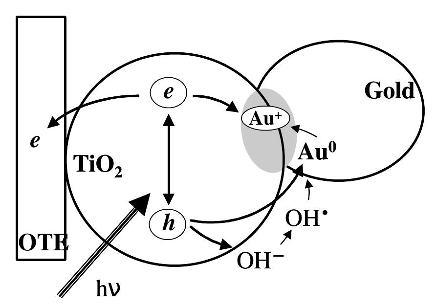 FIG. 1. Oxidation of gold by photogenerated holes and hydroxide radicals.  The photocatalytic oxidation of noble metals such as Au on a TiO) surface will not only disrupt the TiO,/metal 