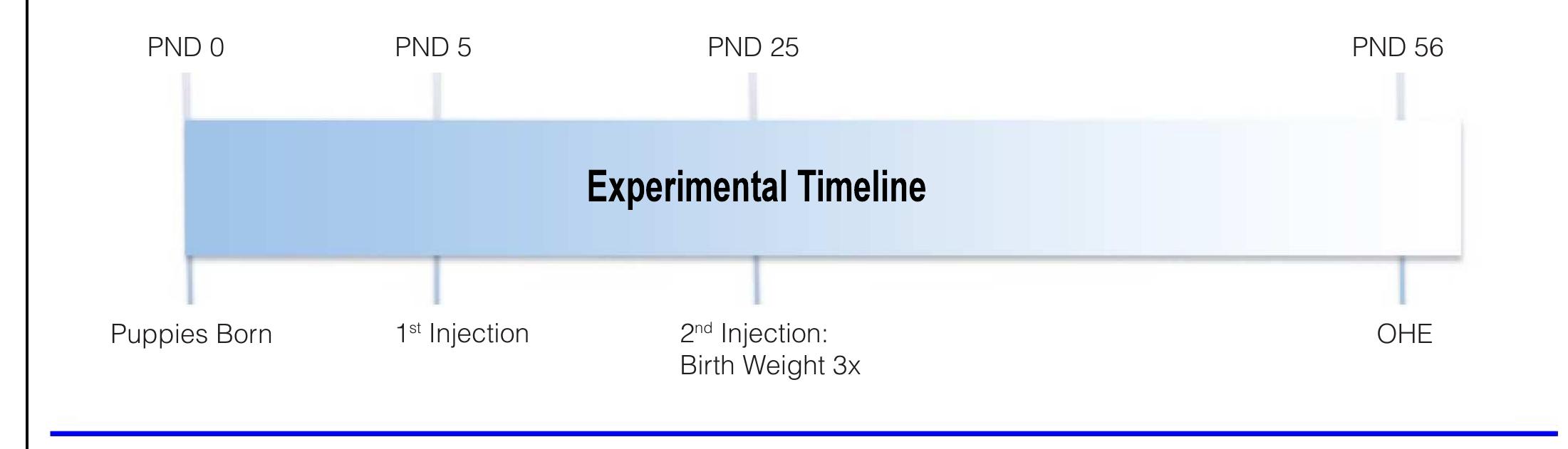 Figure 1. Experimental timeline. The first MPA injection (10 mg/kg BW, i.m.) was given on postnatal day (PND) 5 (PND 0 = birth). The second injection was given when birth weight tripled (mean of PND 25 for all puppies). Animals underwent ovariohysterectomy (OHE) on PND 56. 