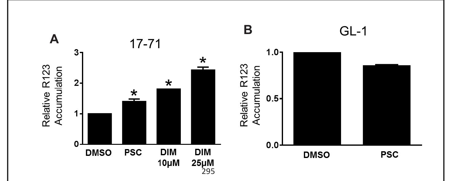 Figure 4. Effect of DIM on intracellular R123 accumulation in canine B-cell lymphoid tumor cells. R123 fluorescence was measured in 17-71 and GL-1 cells in the absence or presence of DMSO, DIM, or P-gp specific inhibitor PSC-833. Relative R123 accumulation was determined by normalizing the fluorescence in the absence or presence  of DMSO, DIM, or PSC-833, as described in the methods. The data are presented as mean + SD of four independent experiments (*P < 0.05). 