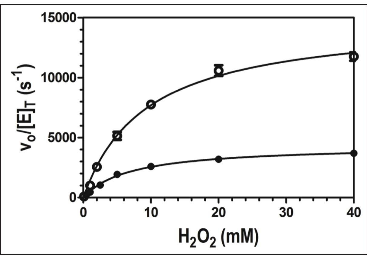 Figure 2 (left). Magnetic circular dichroism spectra for W438F (green) and wild-type (black). Spectra were recorded for the Fe!!! (A) and Fell (B) oxidation states. 