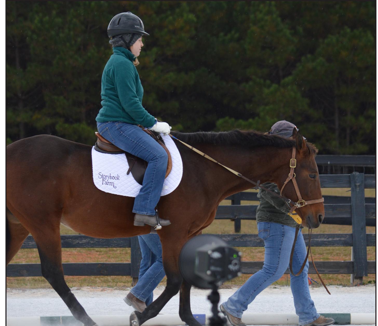 and soundness and, therefore, their usefulness. The horse and rider system is a complex and integrated one and changes in one part of the system can easily produce consequences in the rest of the system. Based on this information, the following question arises: Does a rider with limitations (as seen in a therapeutic riding setting) affect the motion pattern of a horse at a walk as compared to the same horse ridden by a rider without limitations? To answer  Figure, Rankins. This picture shows one of the horse and rider combinations during the data capture. The video camera in the foreground is recording the sagittal or side view of the horse and rider. There is a second video camera in front of the horse that cannot be seen from this angle recording the frontal view.  Therapists and instructors in Equine Assisted Activities and Therapies (EAAT) use the horse as a therapy tool or to provide an activity for riders hat find it difficult to participate in other activities and sports. Due to the physical limitations of the participants in EAAT, horses used within this field are subjected to unique stresses hat are not seen in other equine disciplines. It is possible that hese stresses placed upon EAAT horses can affect their health  